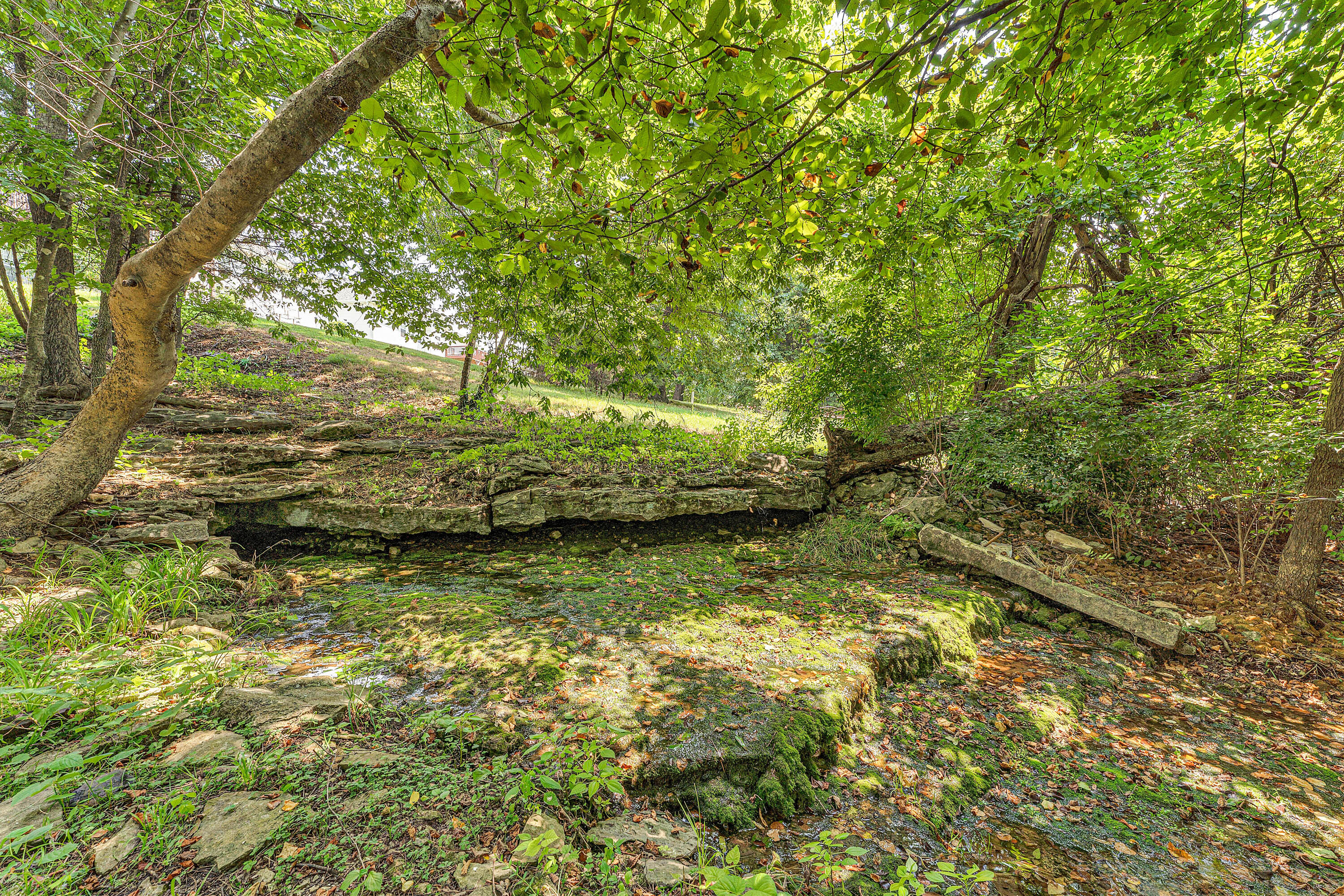 792 Rippling Creek Road Property Photo 12