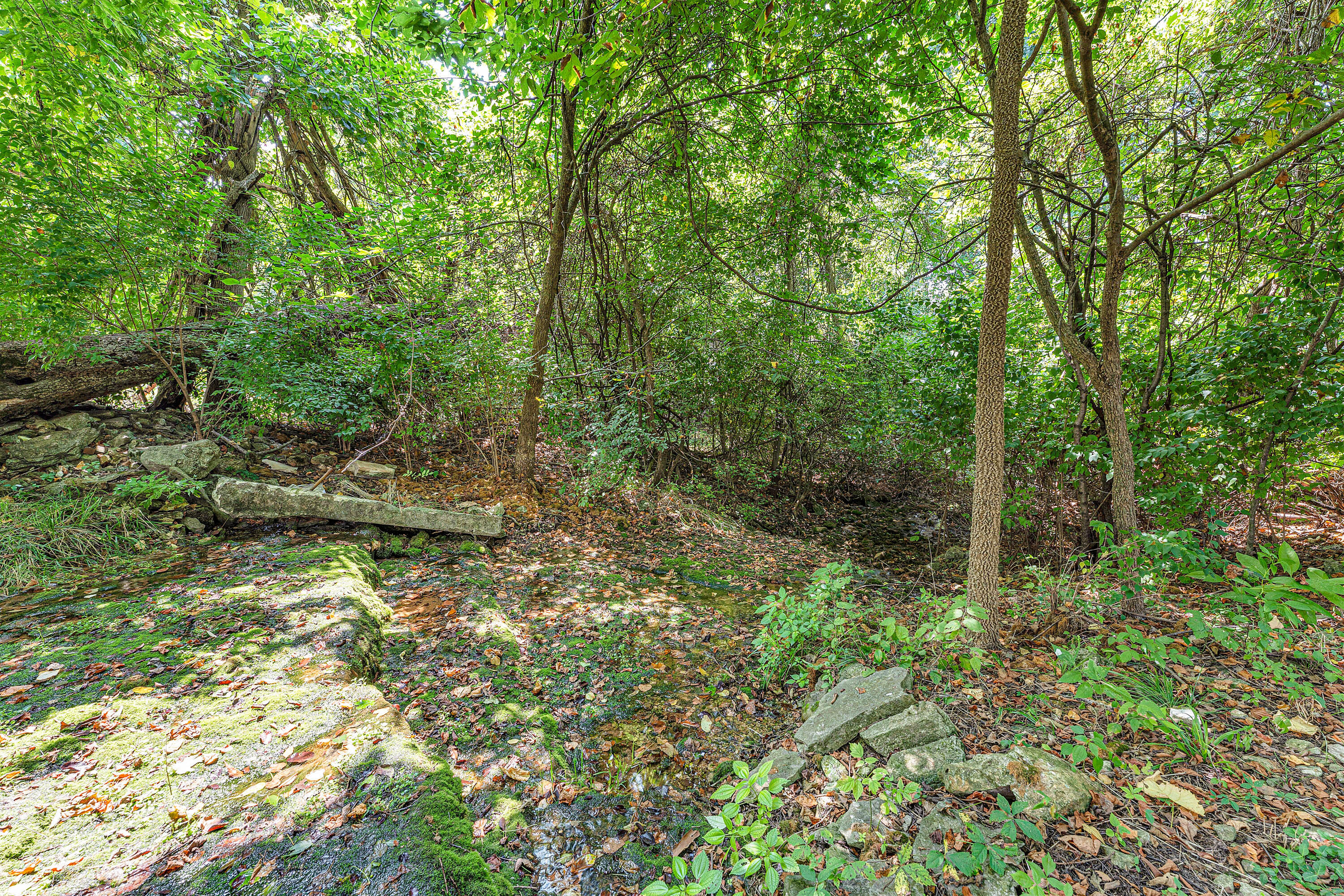 792 Rippling Creek Road Property Photo 13