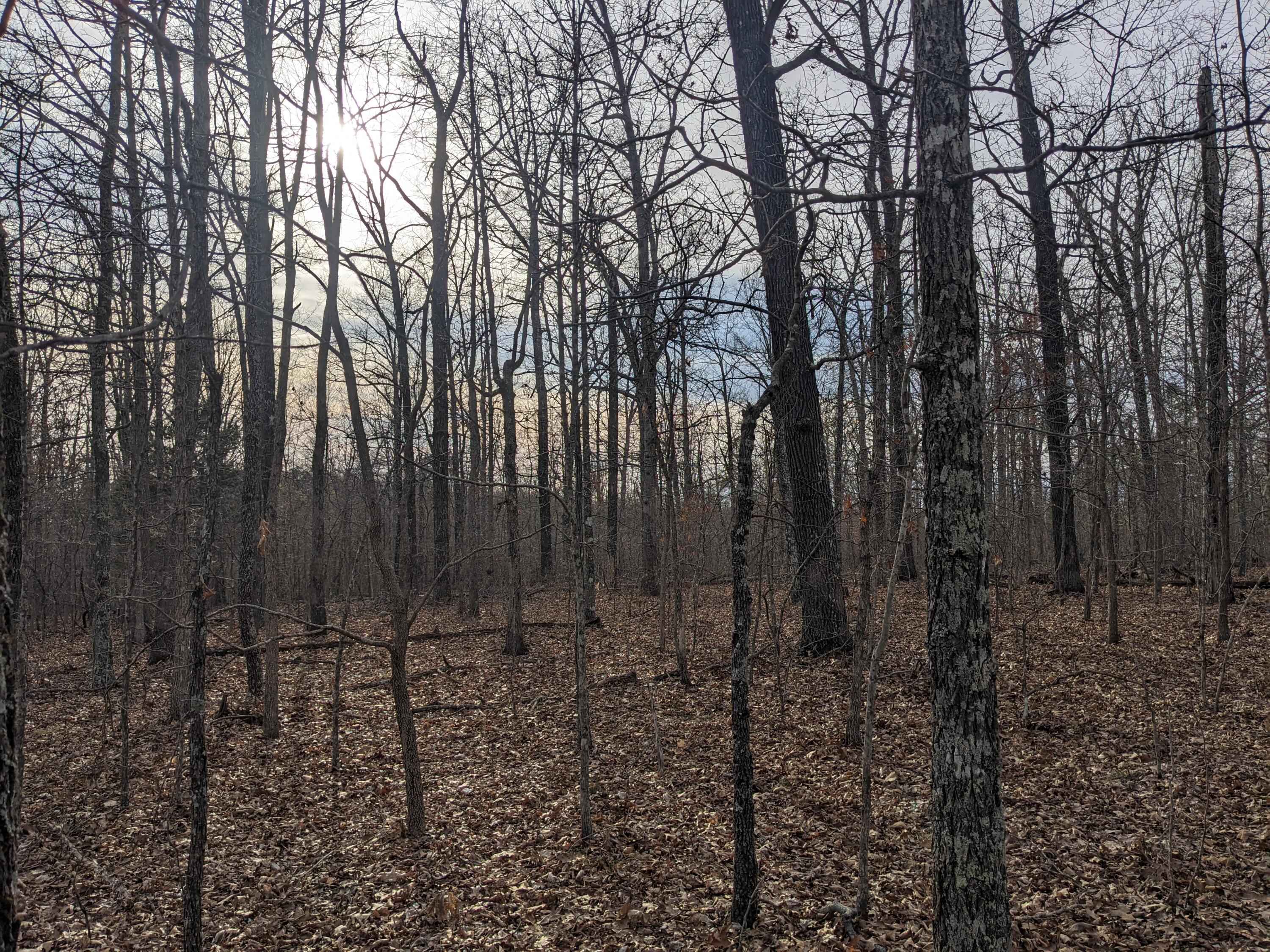 000 Unnamed Road Property Photo 1
