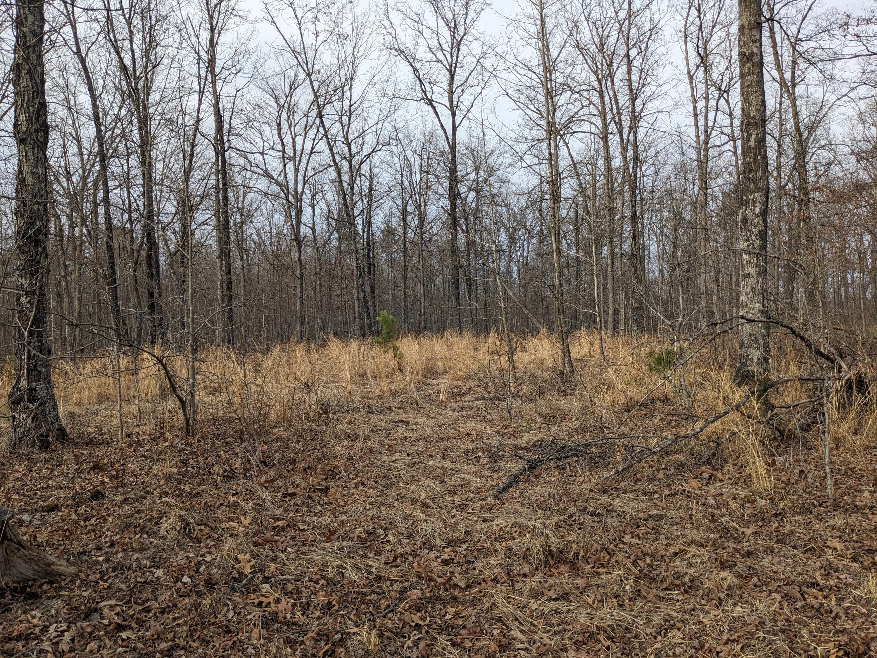 000 Unnamed Road Property Photo 2