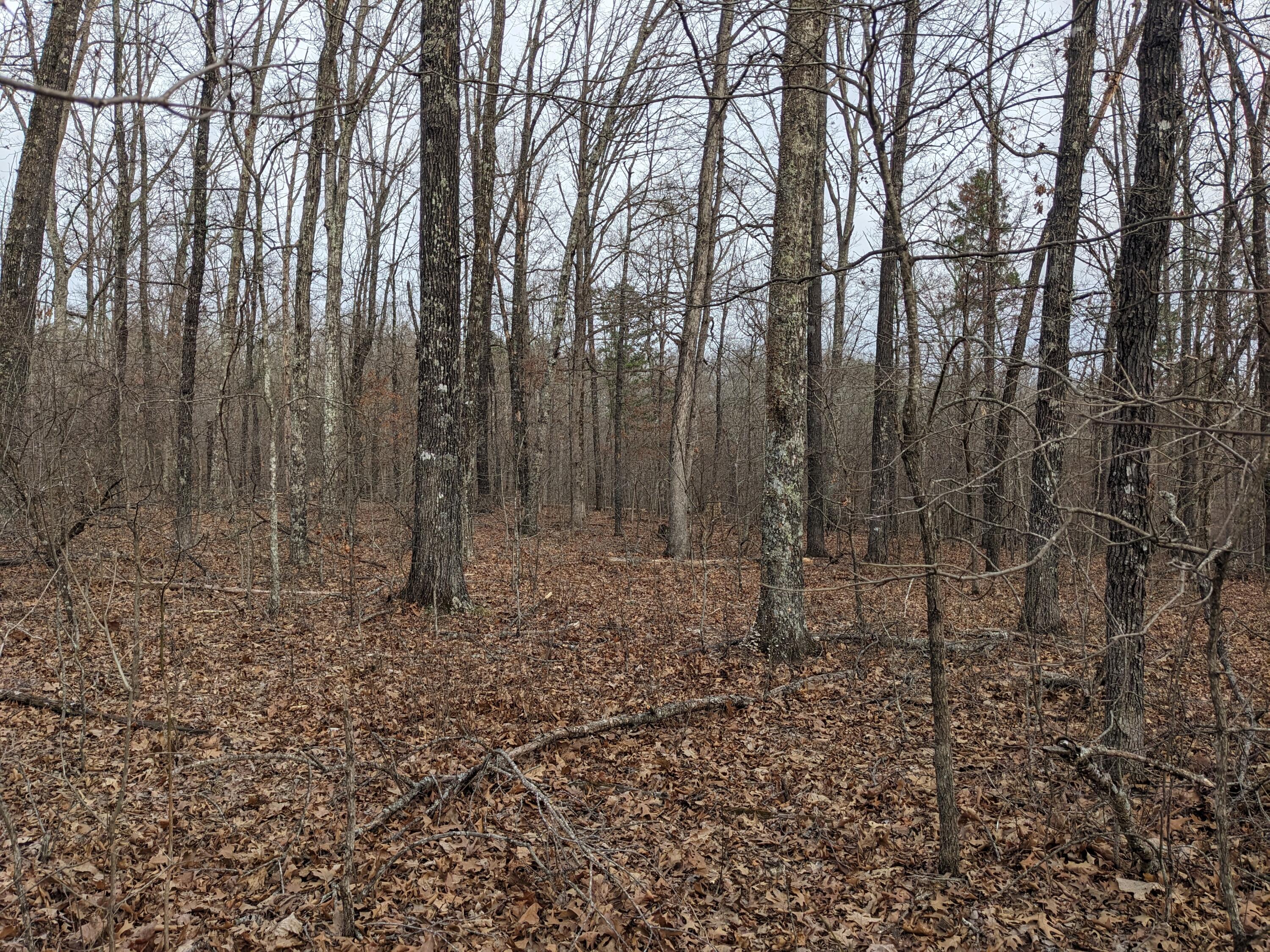 000 Unnamed Road Property Photo 3