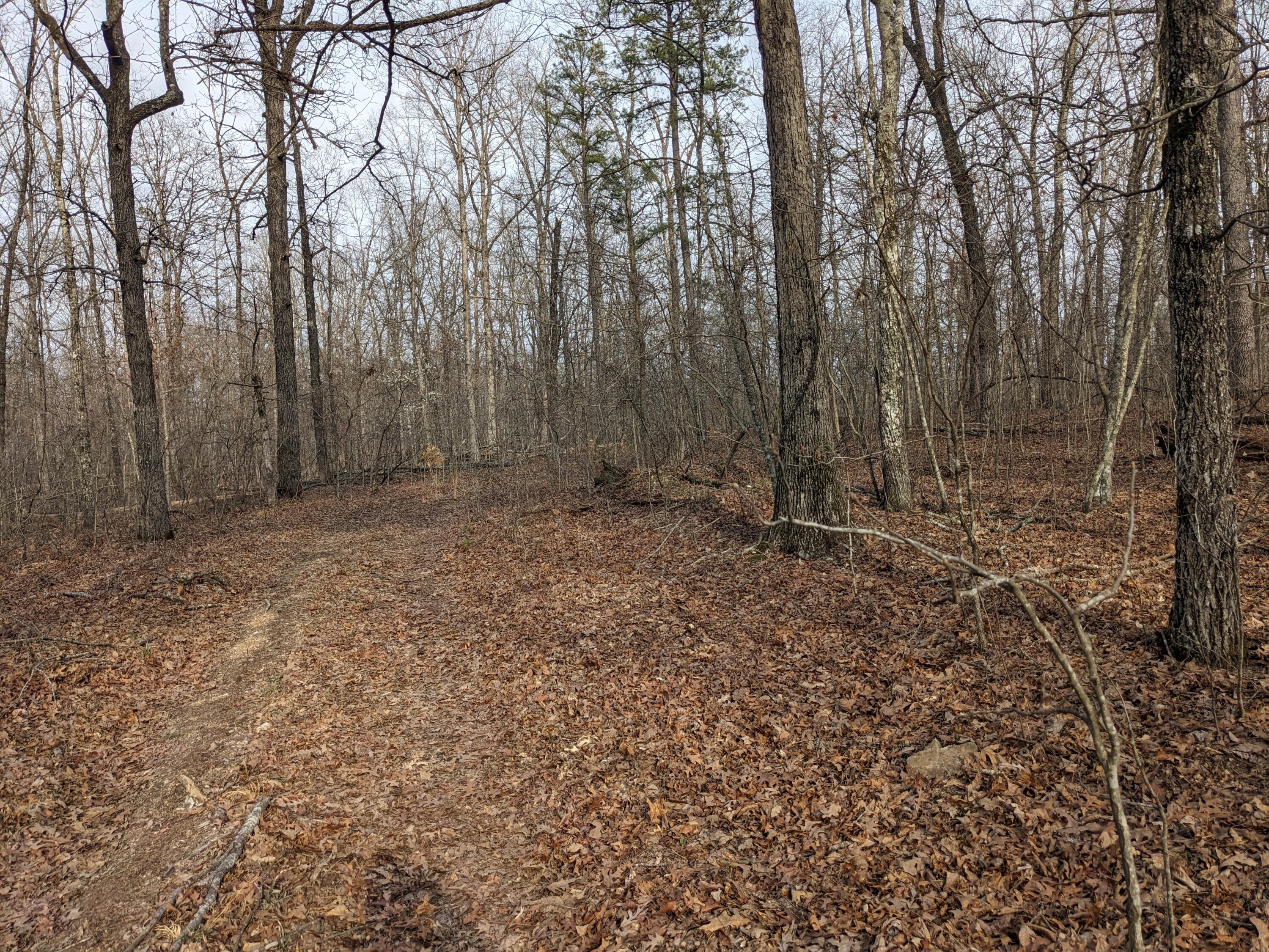 000 Unnamed Road Property Photo 4