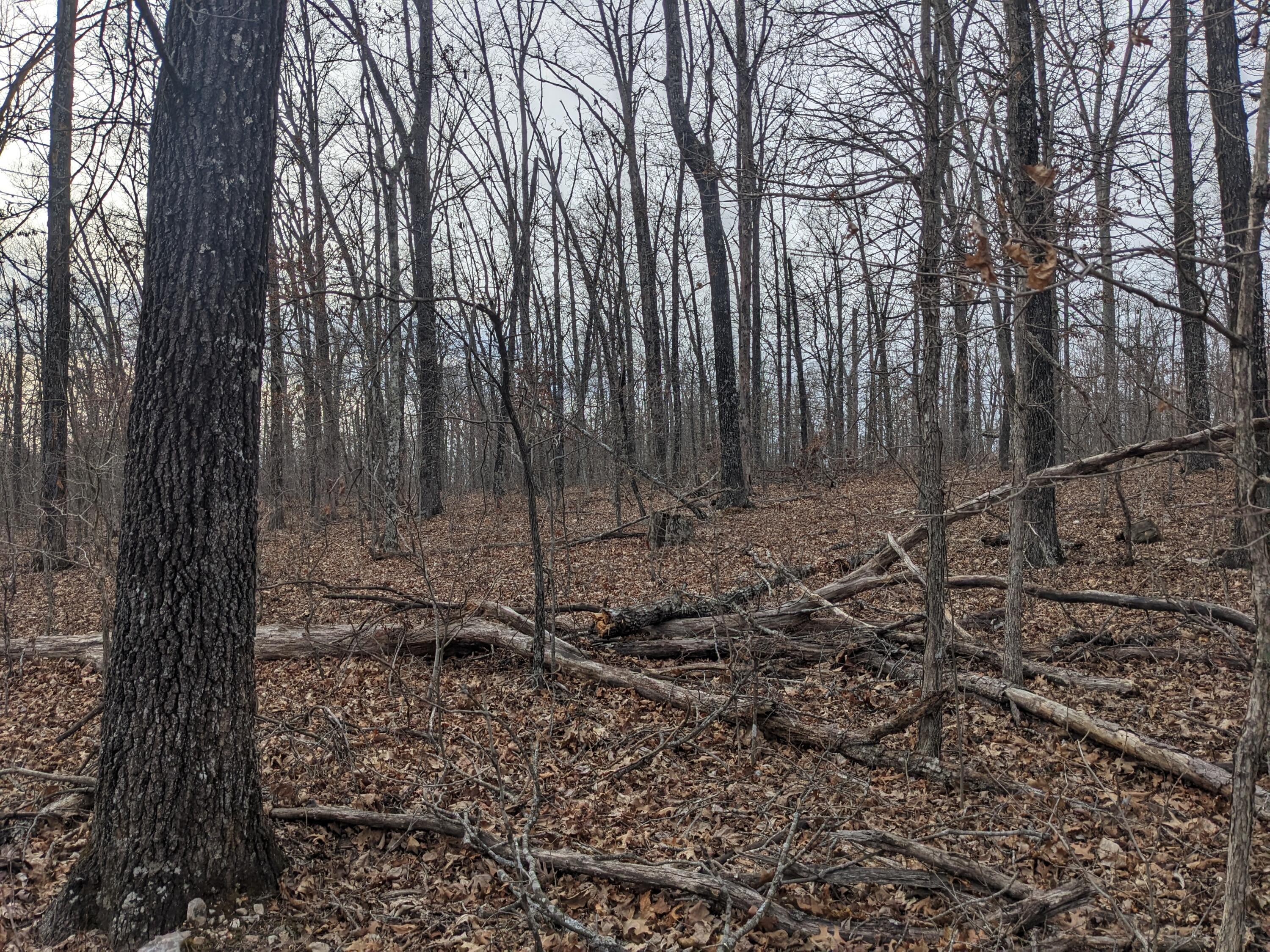 000 Unnamed Road Property Photo 5
