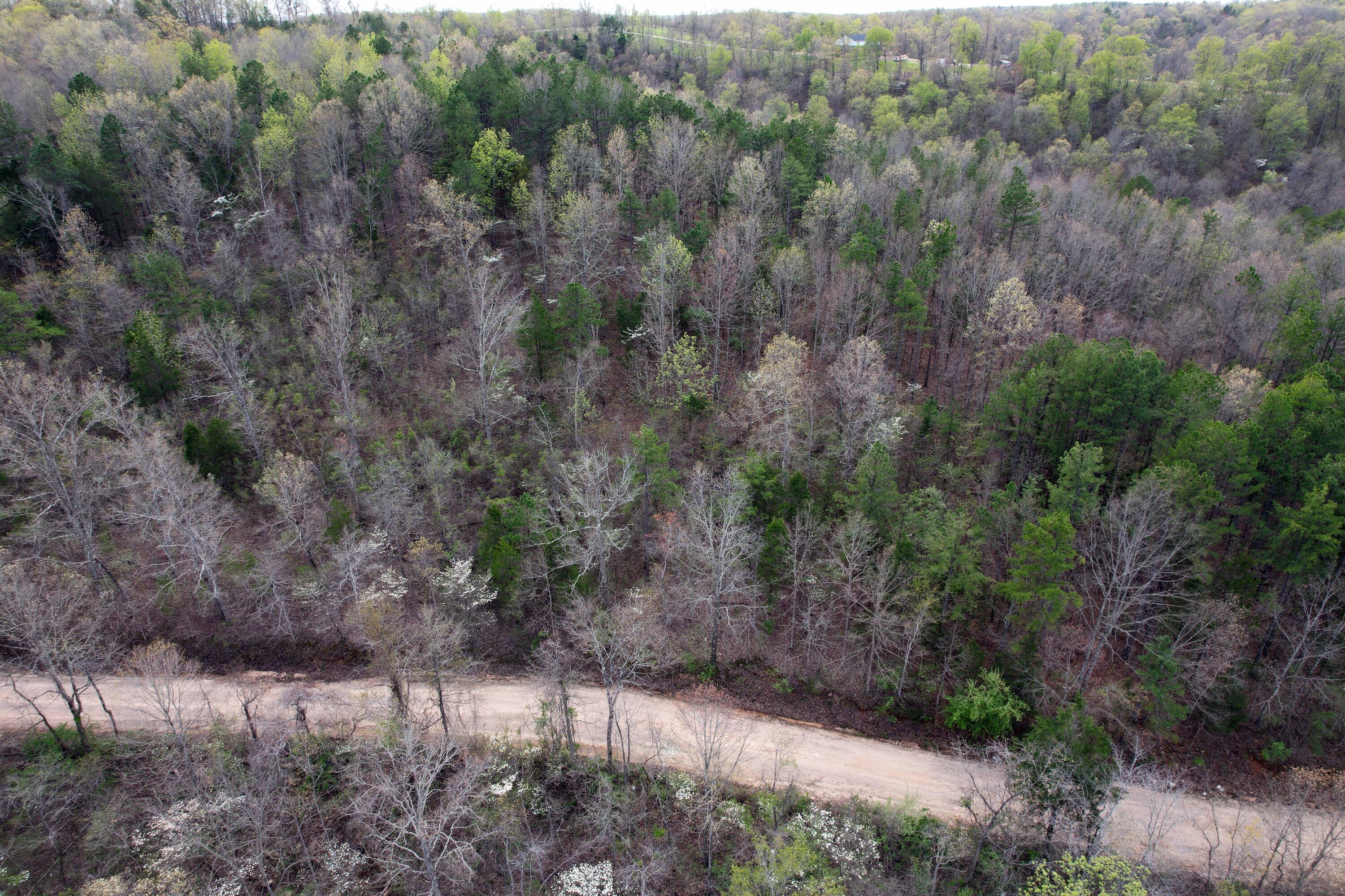 000 State Highway 106 Property Photo 4