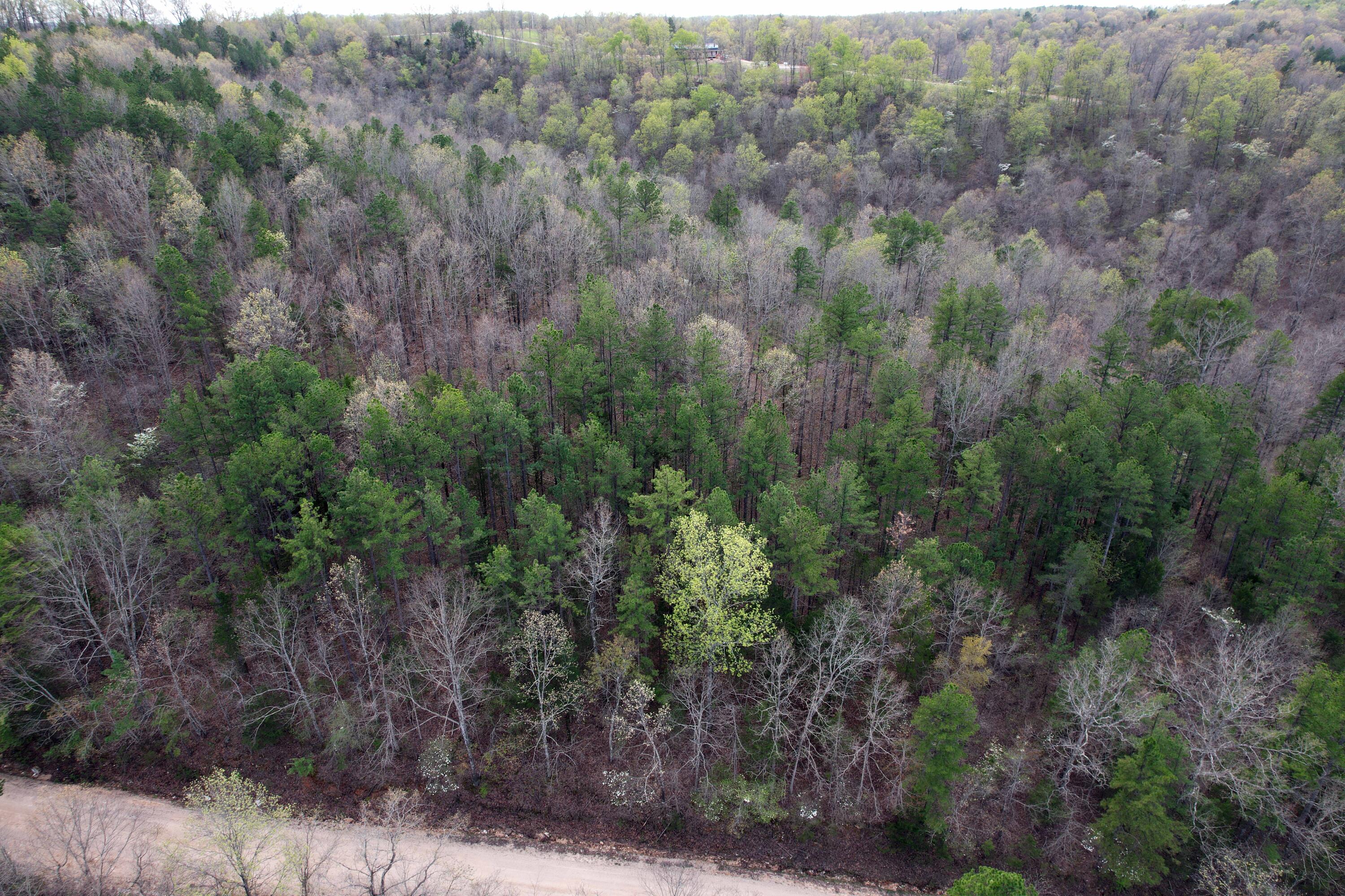 000 State Highway 106 Property Photo 5