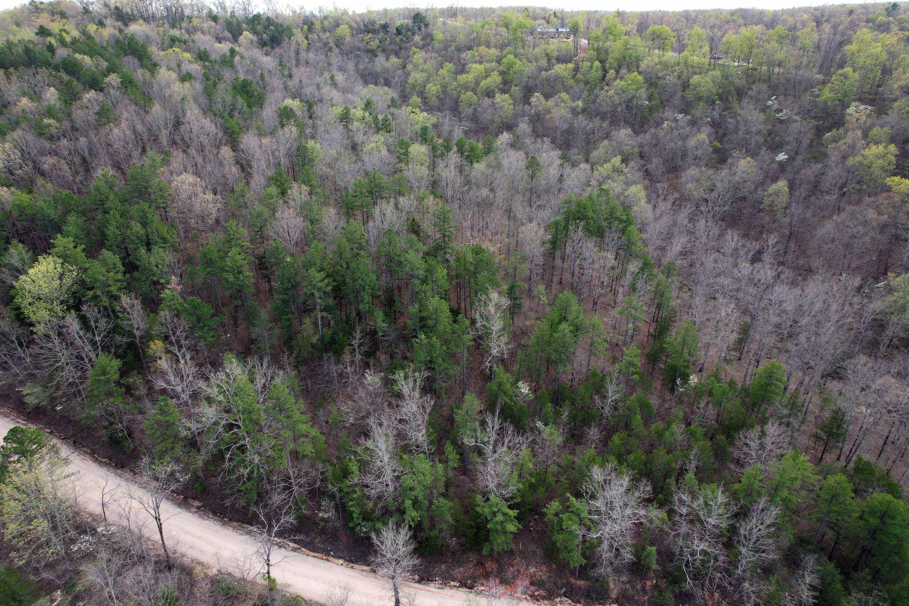 000 State Highway 106 Property Photo 6
