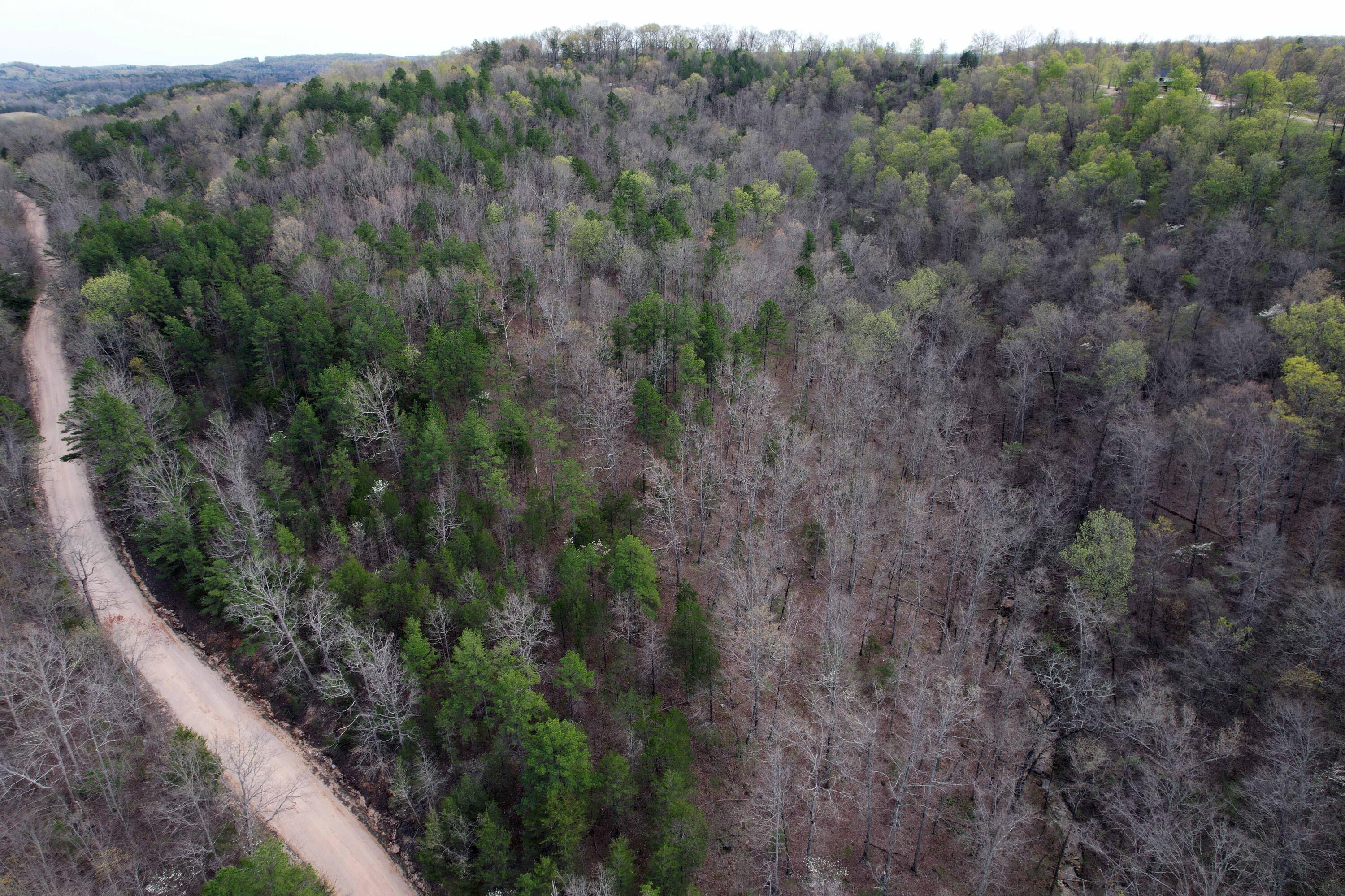 000 State Highway 106 Property Photo 7