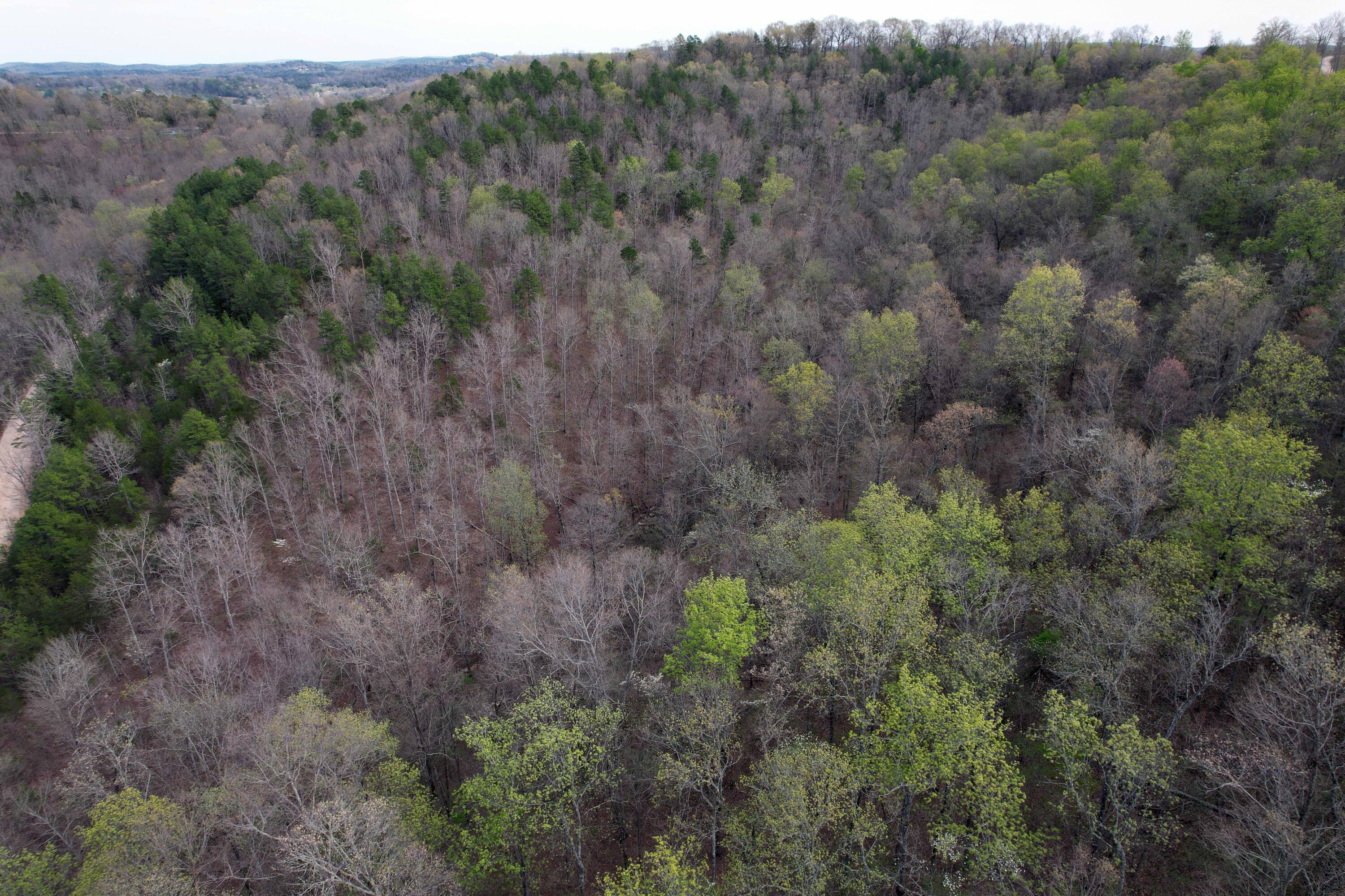 000 State Highway 106 Property Photo 8