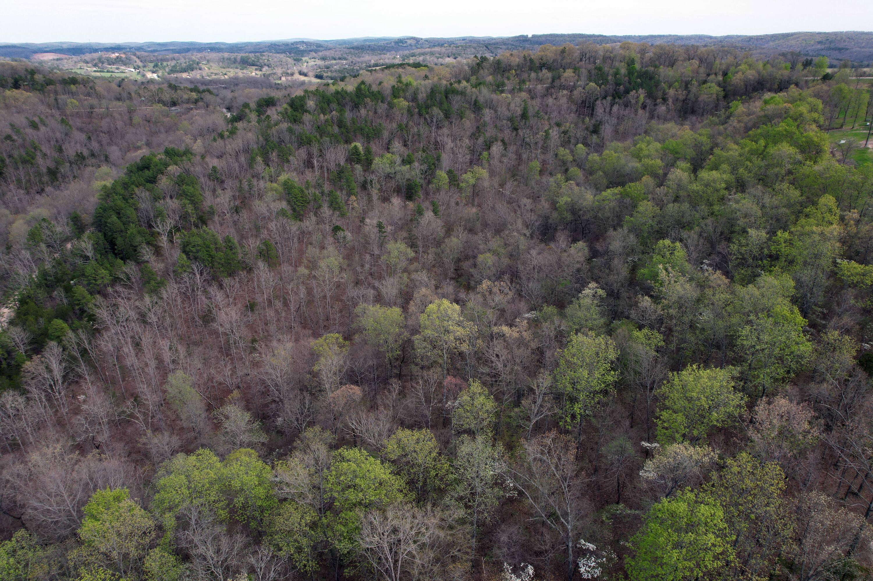 000 State Highway 106 Property Photo 9