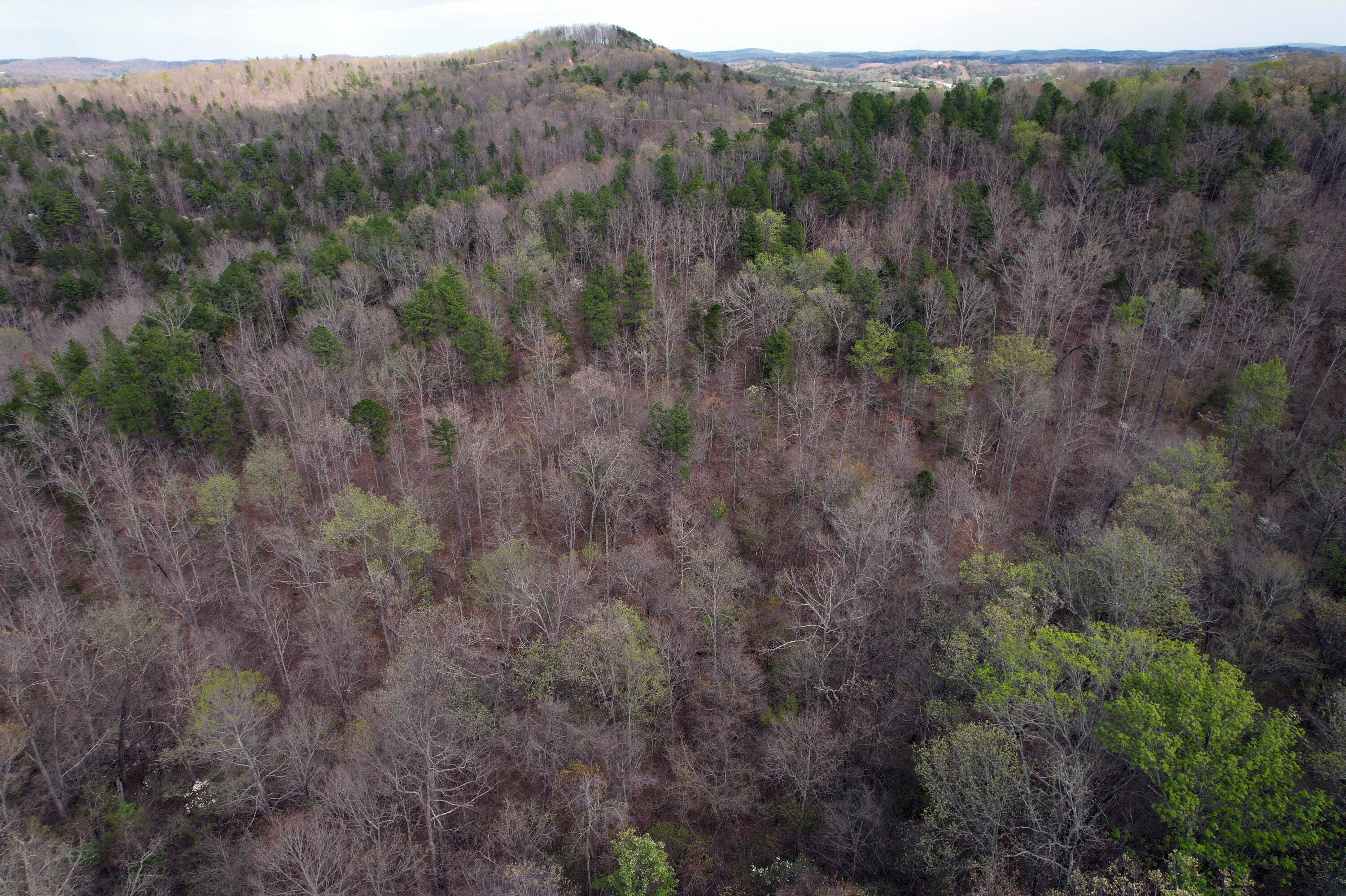 000 State Highway 106 Property Photo 10