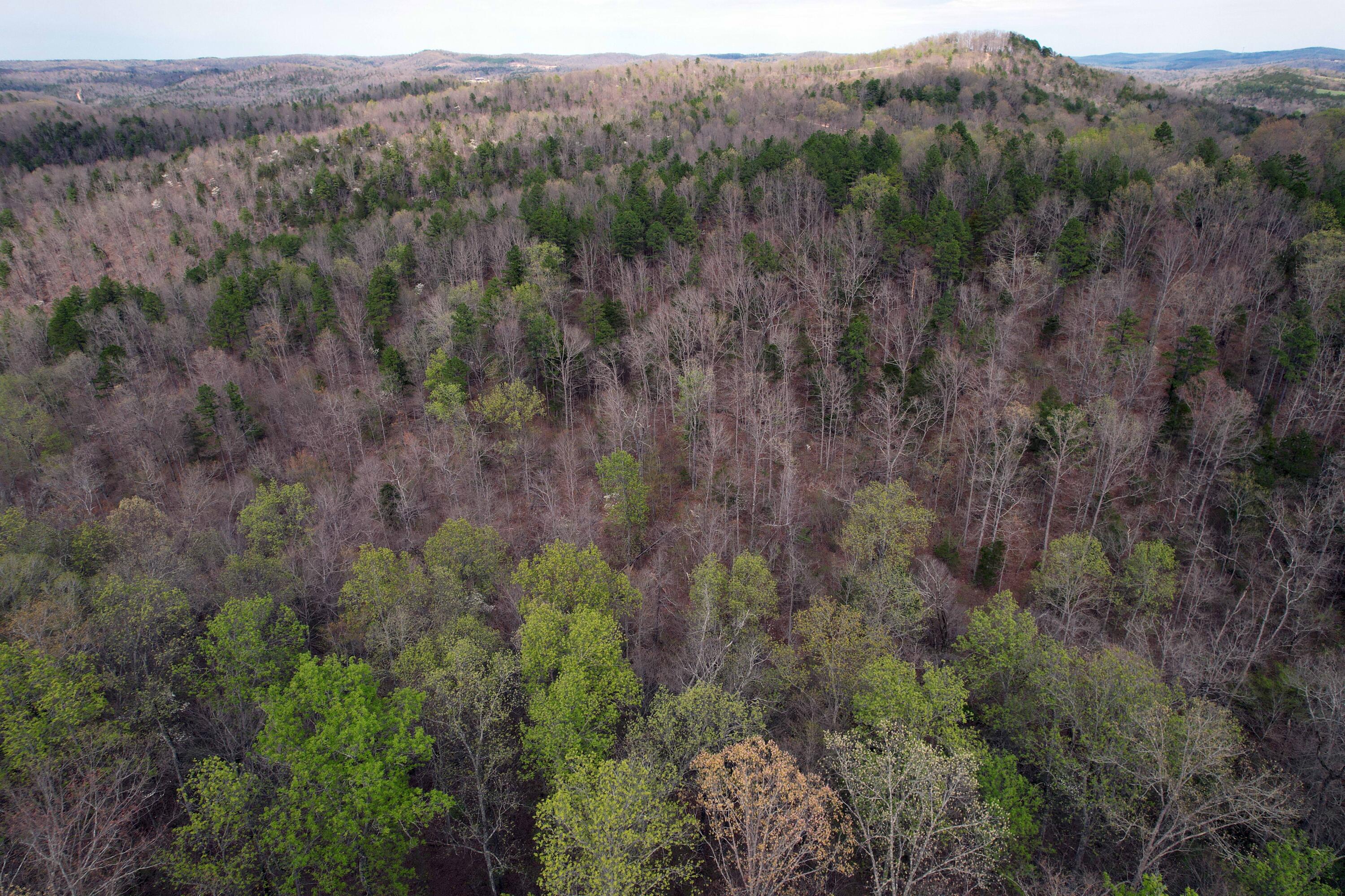 000 State Highway 106 Property Photo 11