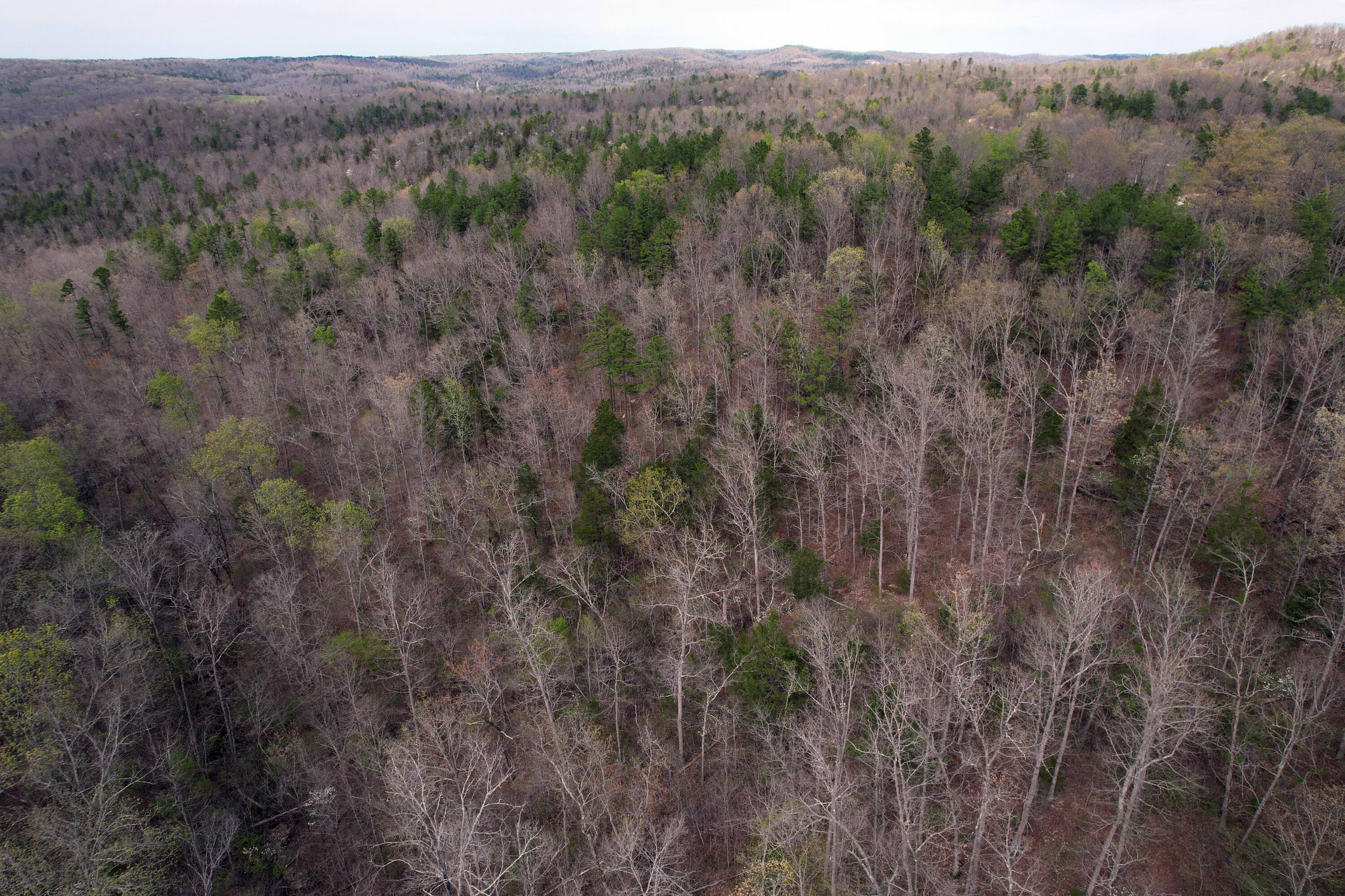 000 State Highway 106 Property Photo 12