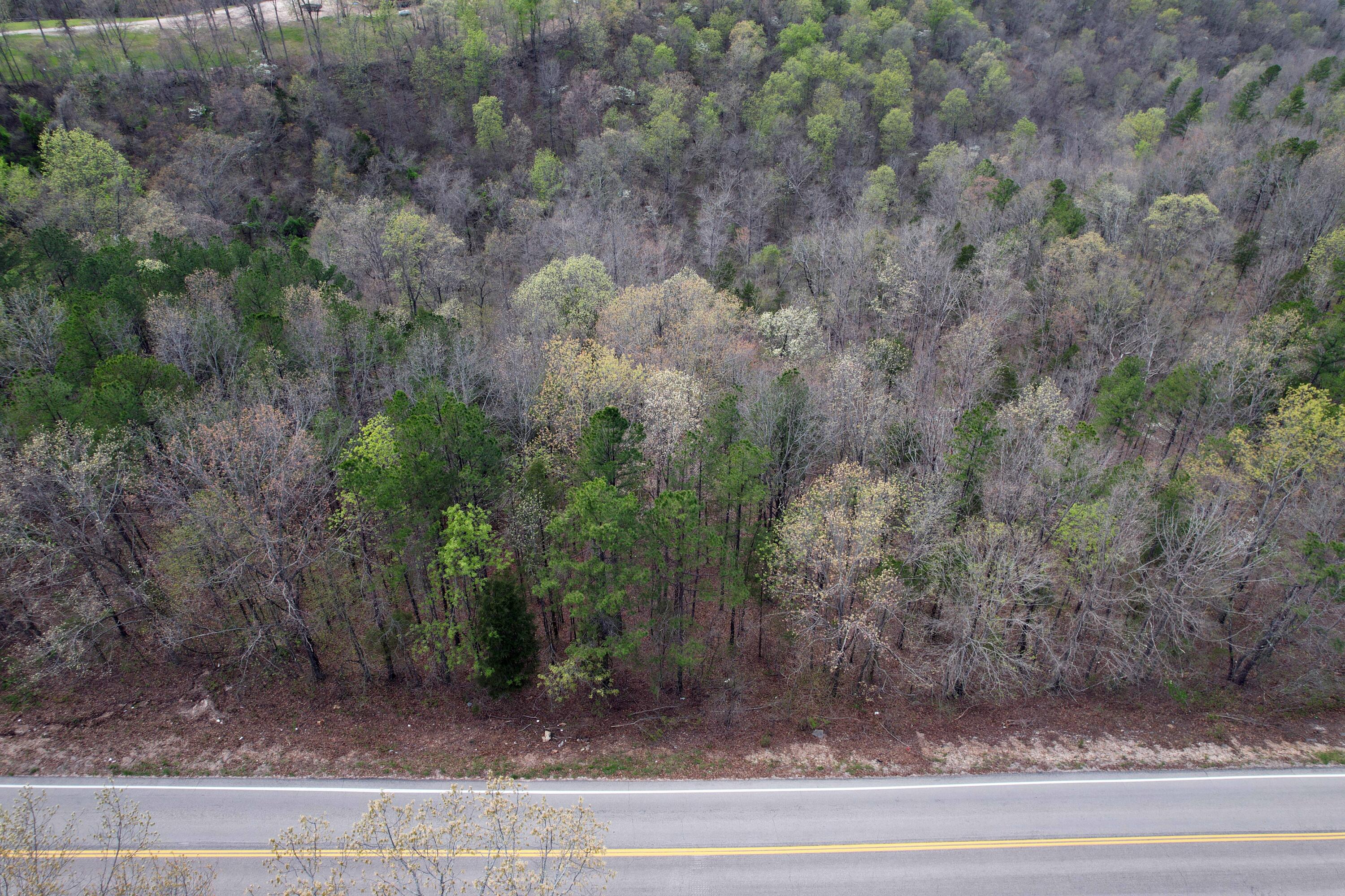 000 State Highway 106 Property Photo 14