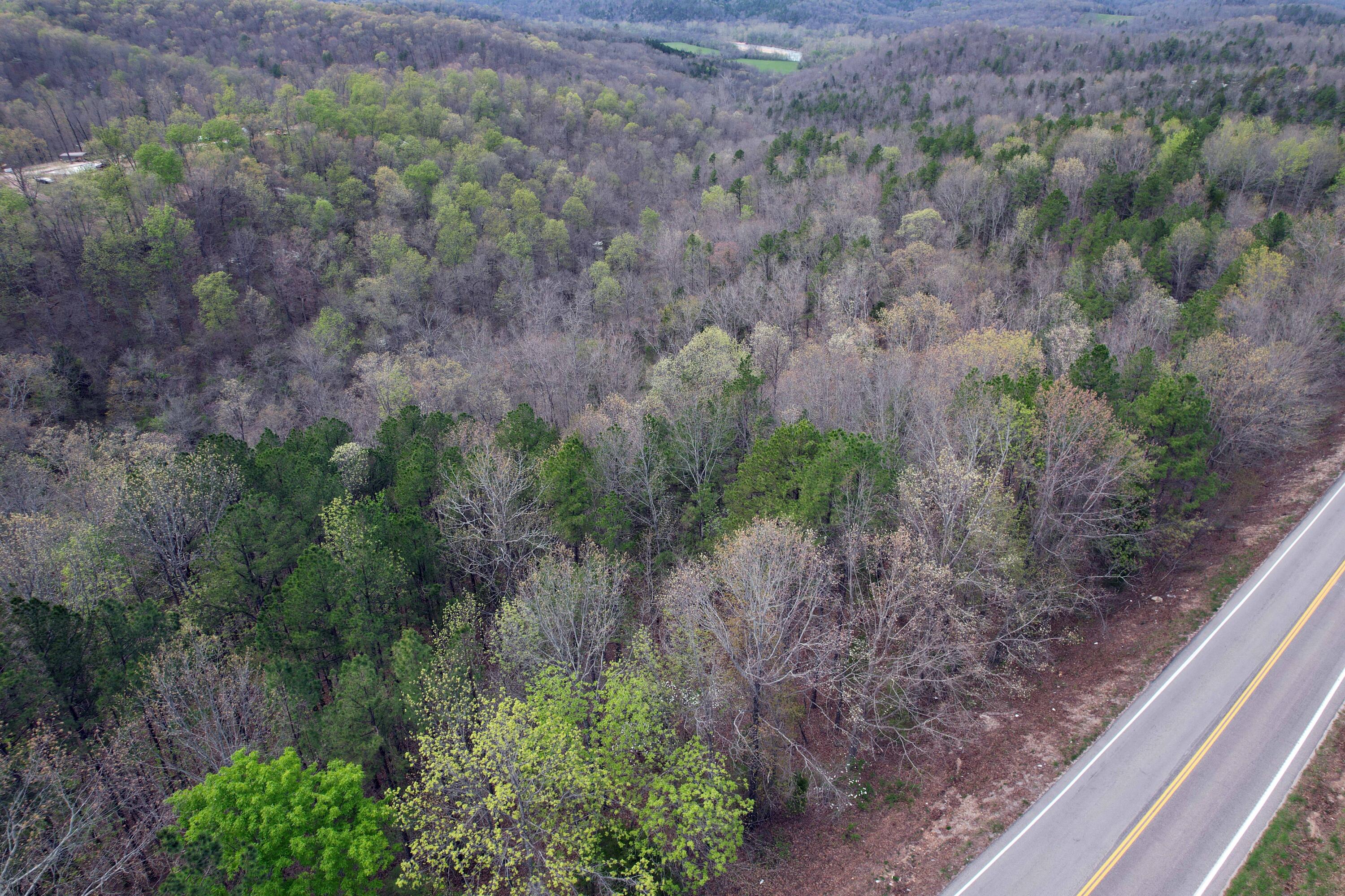 000 State Highway 106 Property Photo 15