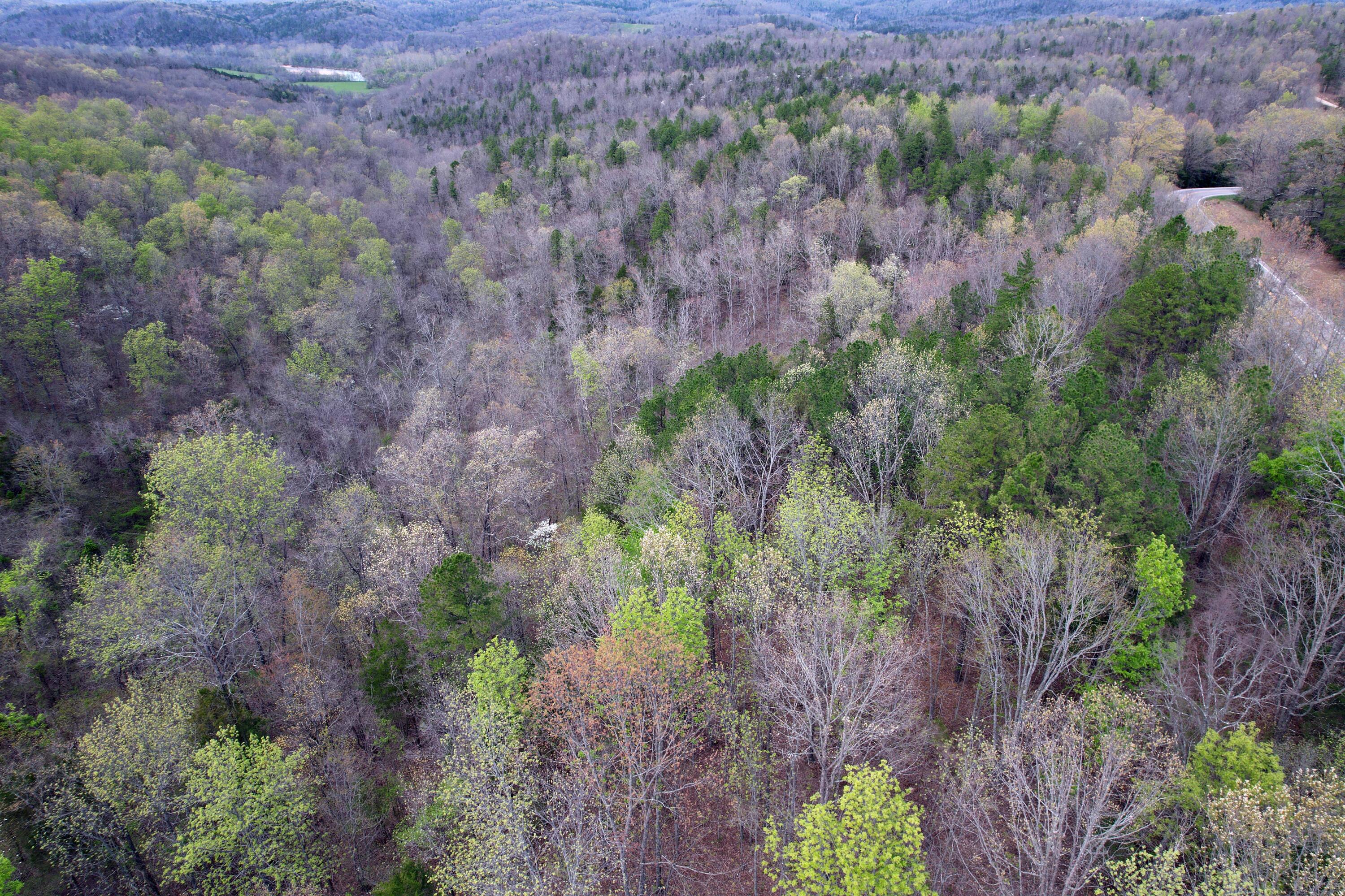 000 State Highway 106 Property Photo 16