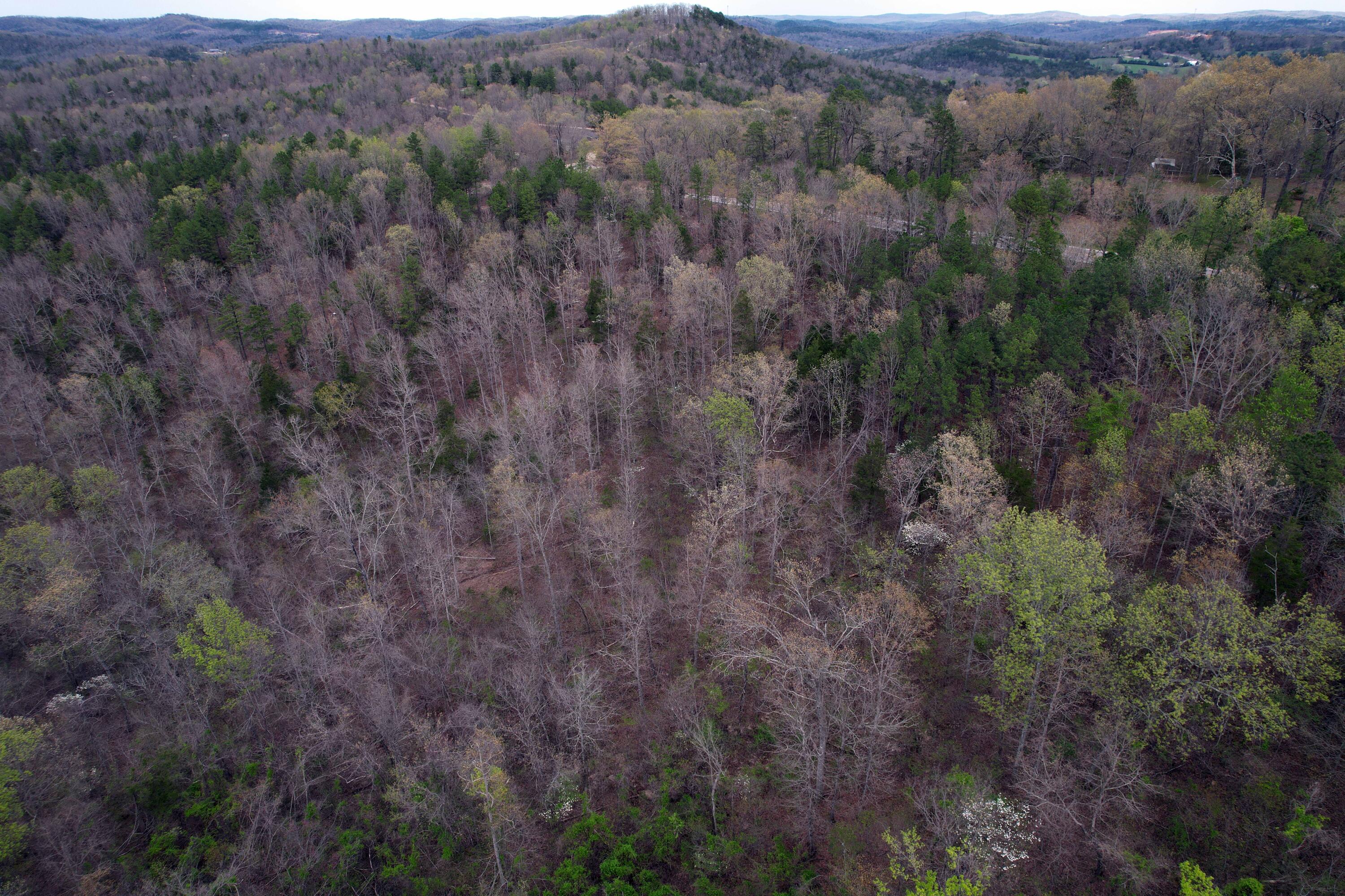 000 State Highway 106 Property Photo 18