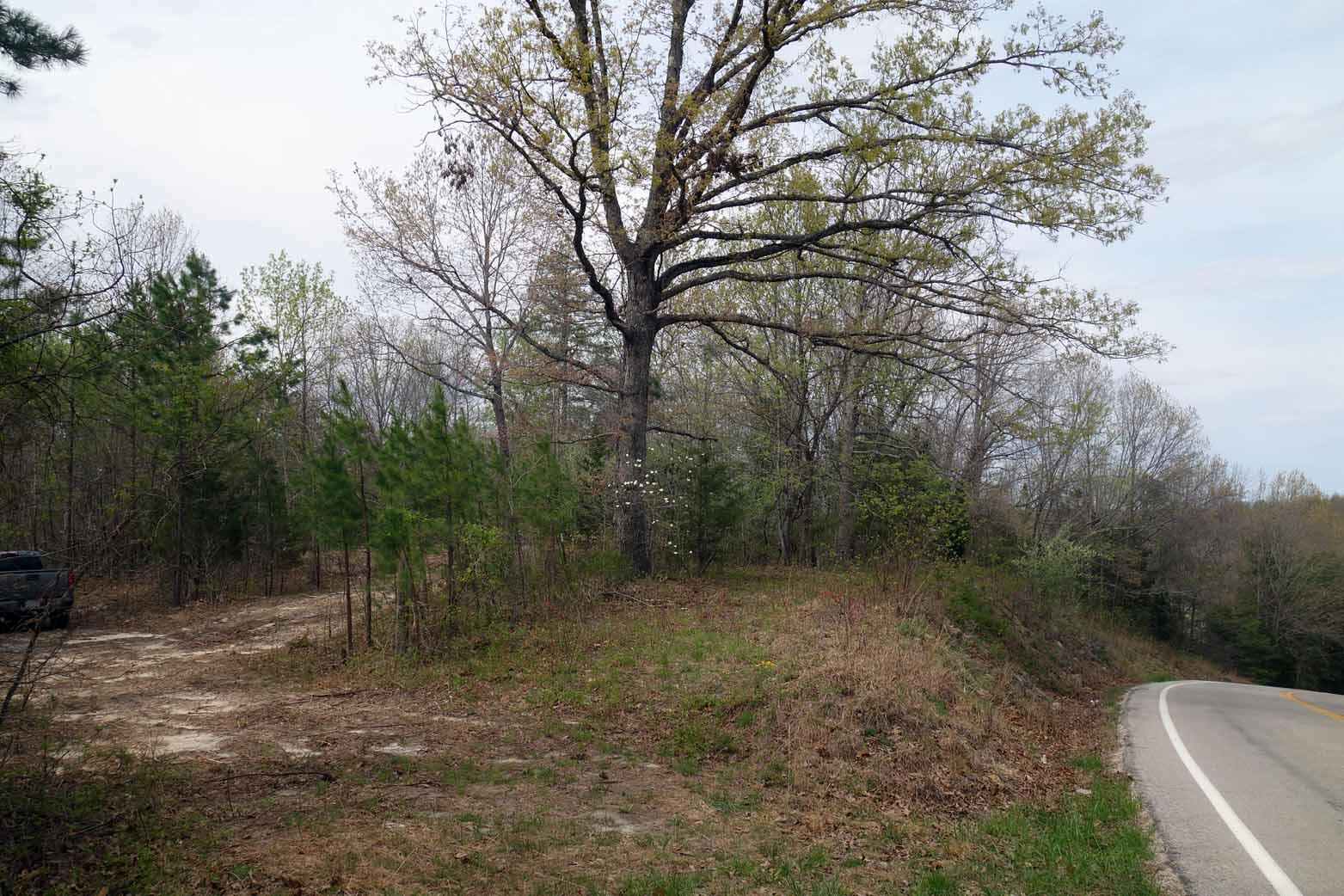 000 State Highway 106 Property Photo 20