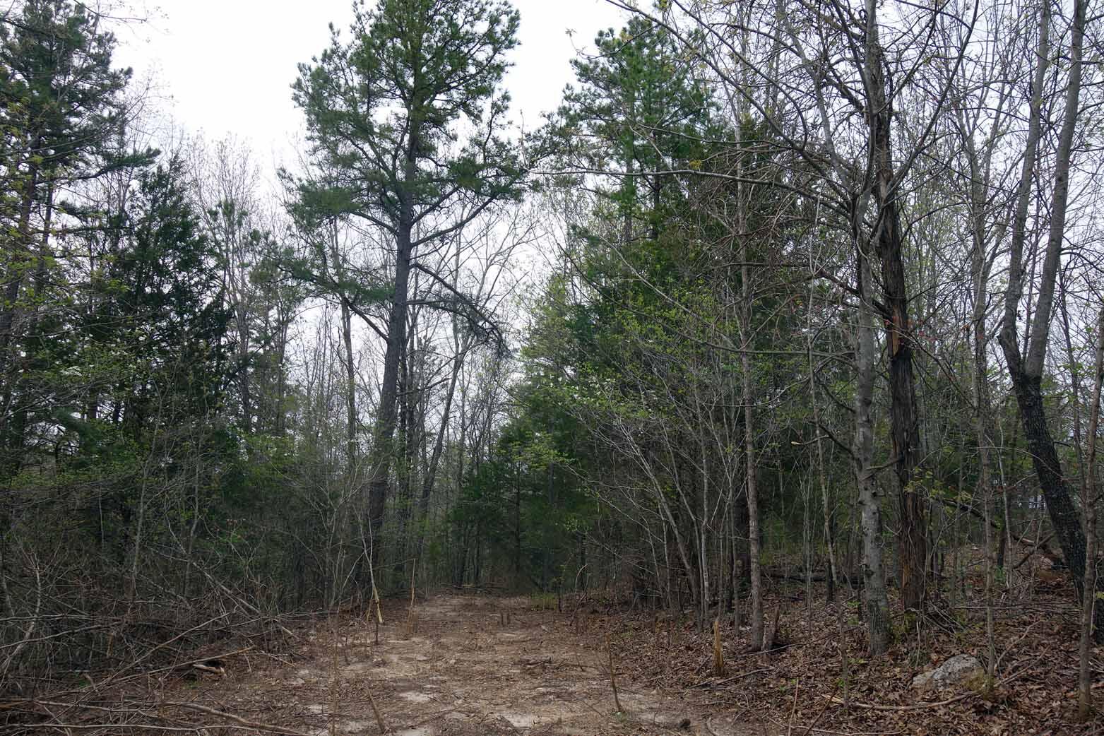 000 State Highway 106 Property Photo 22
