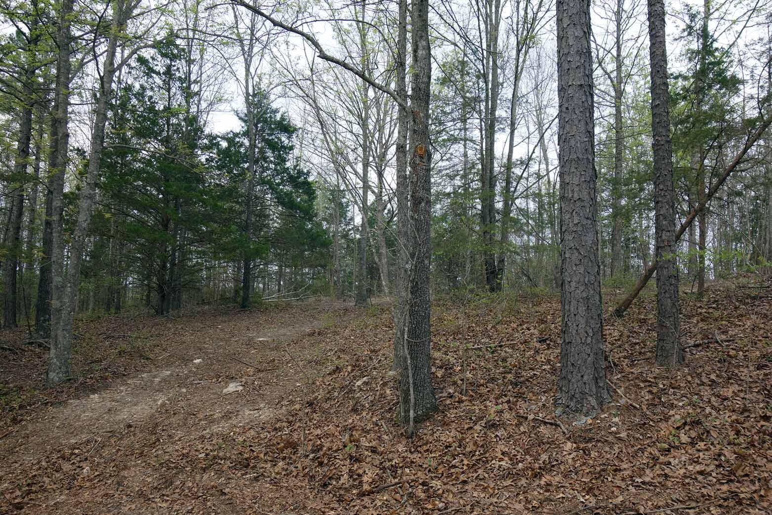 000 State Highway 106 Property Photo 24