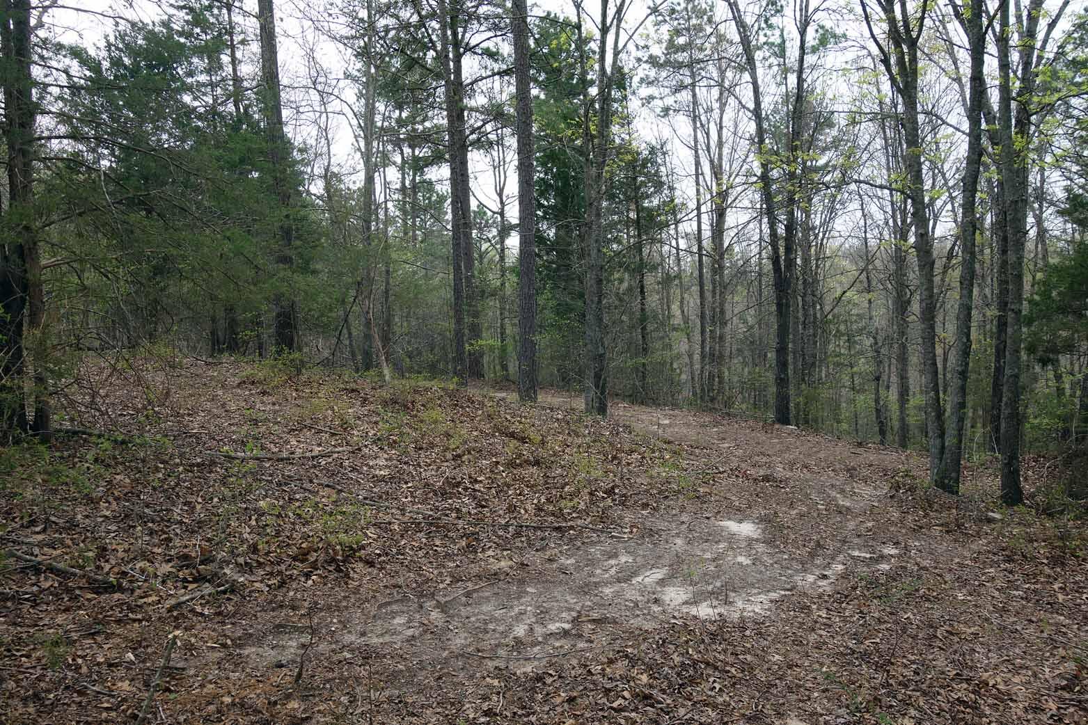 000 State Highway 106 Property Photo 26