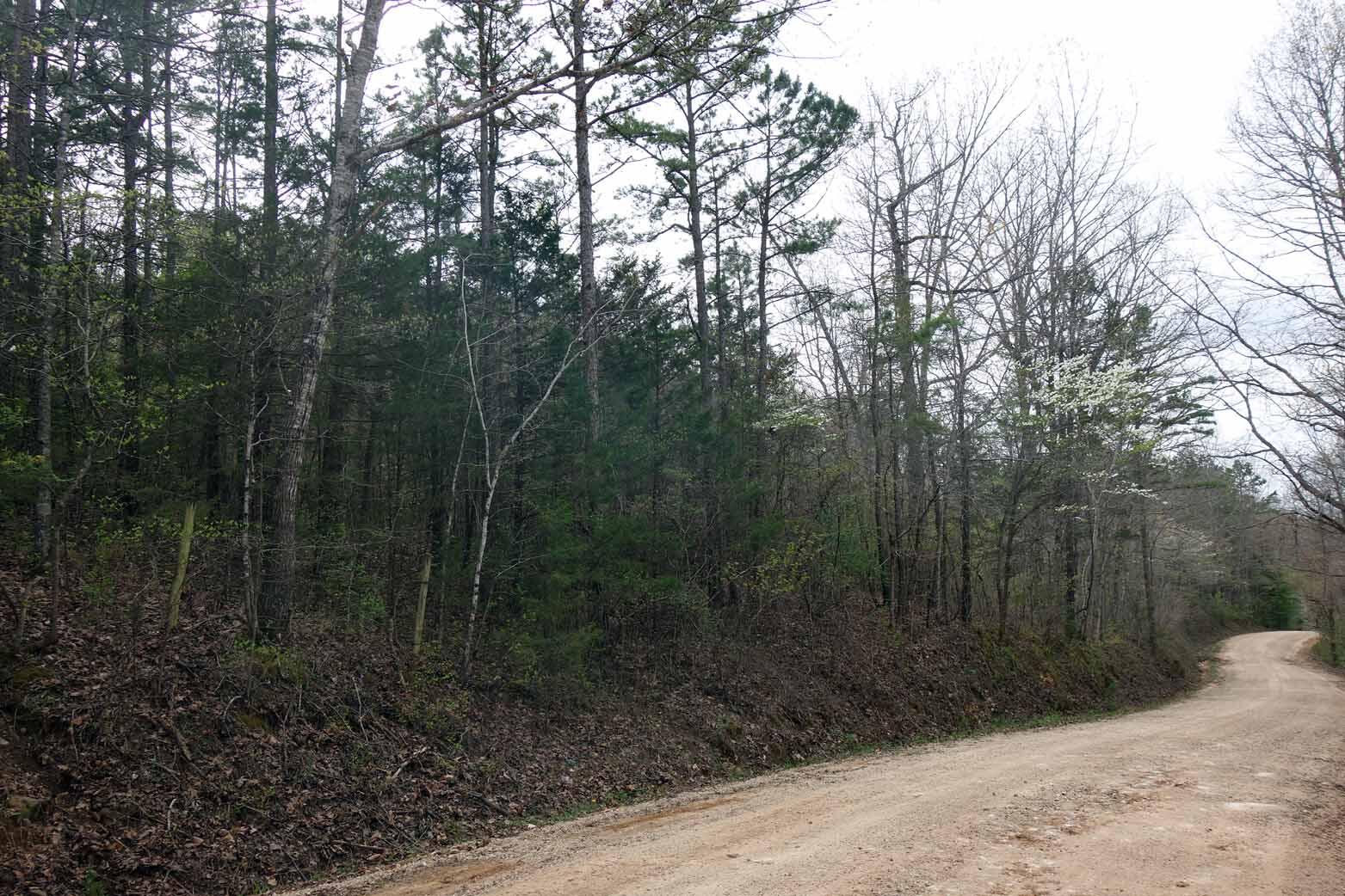 000 State Highway 106 Property Photo 30