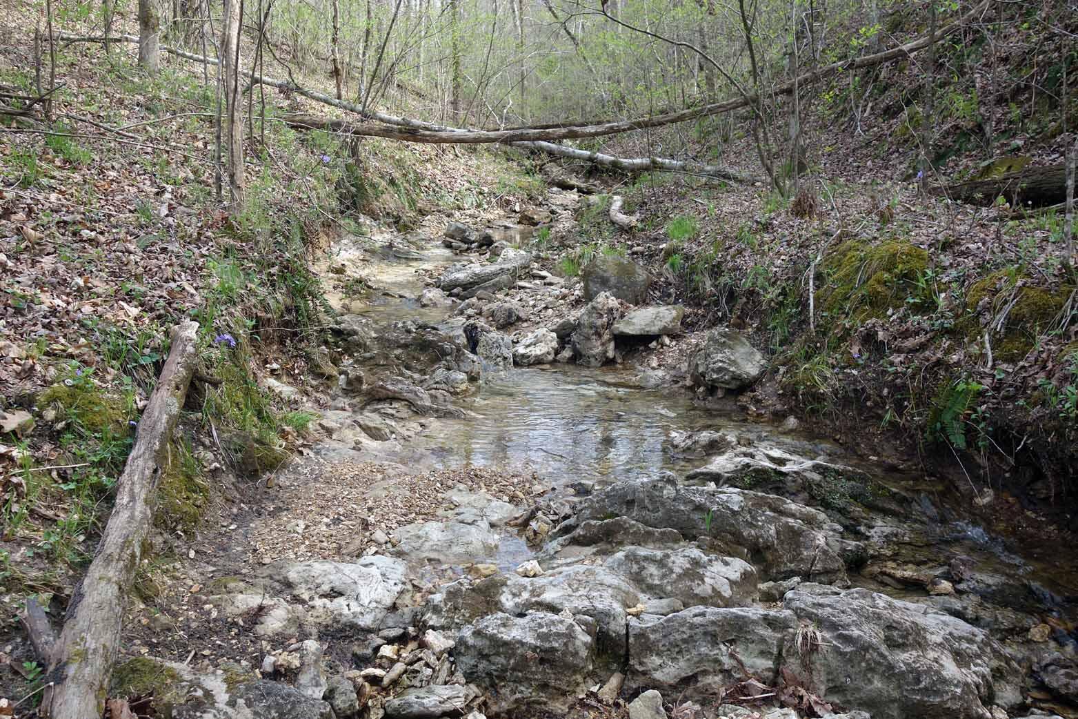 000 State Highway 106 Property Photo 36