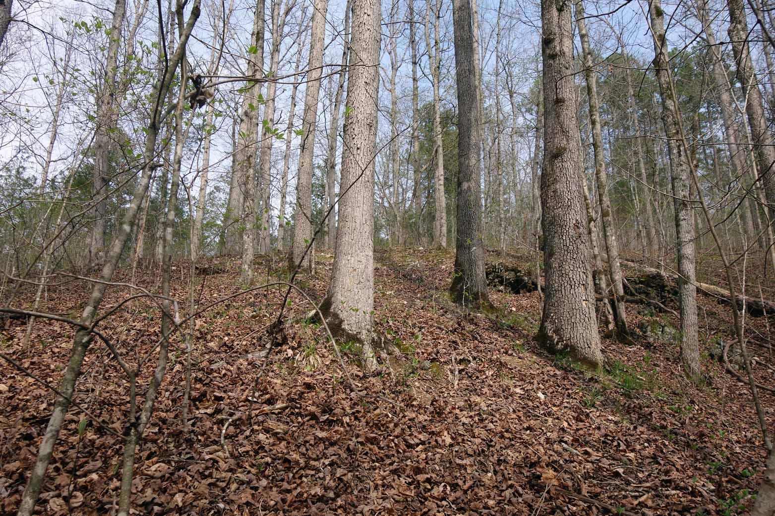 000 State Highway 106 Property Photo 44