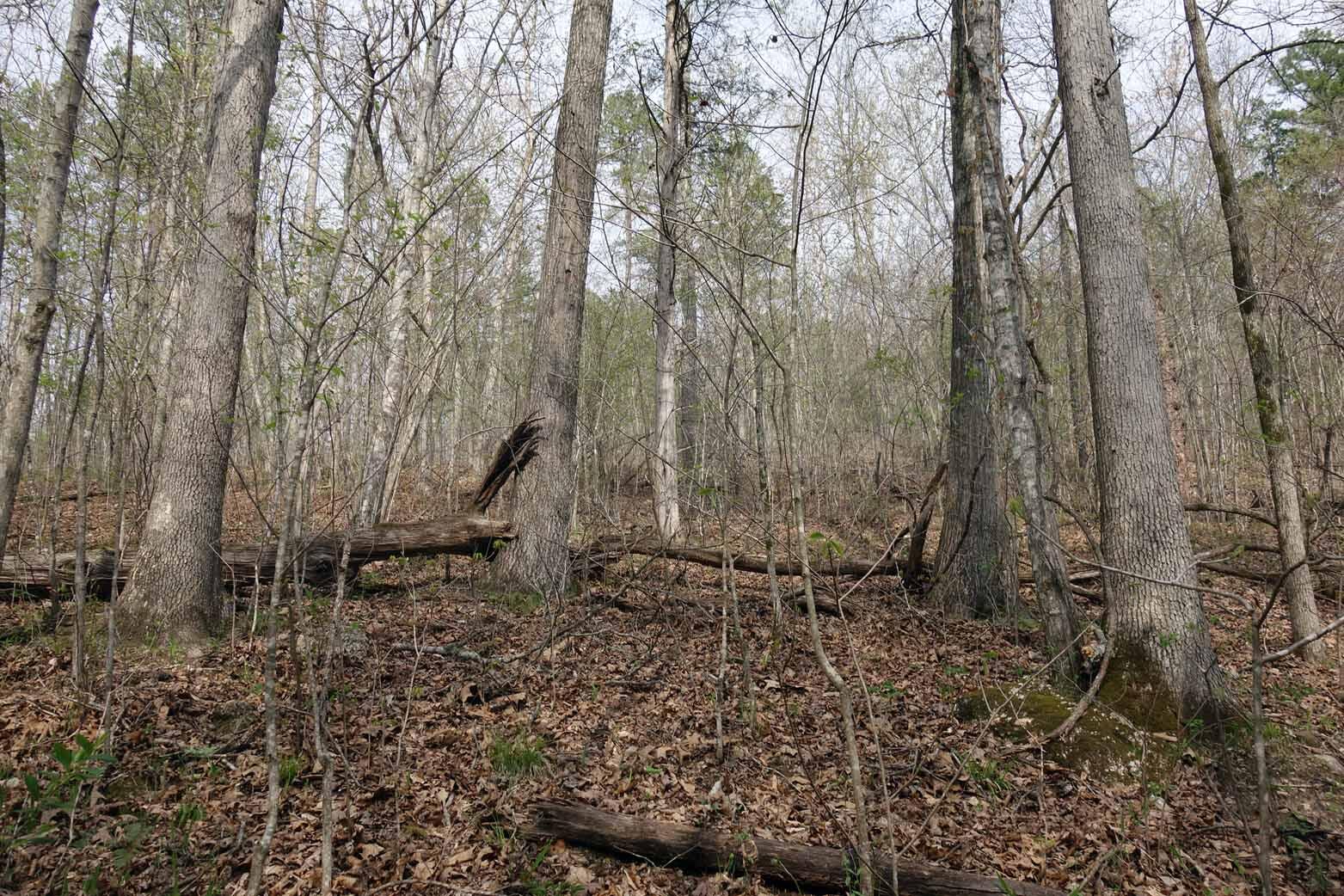 000 State Highway 106 Property Photo 56