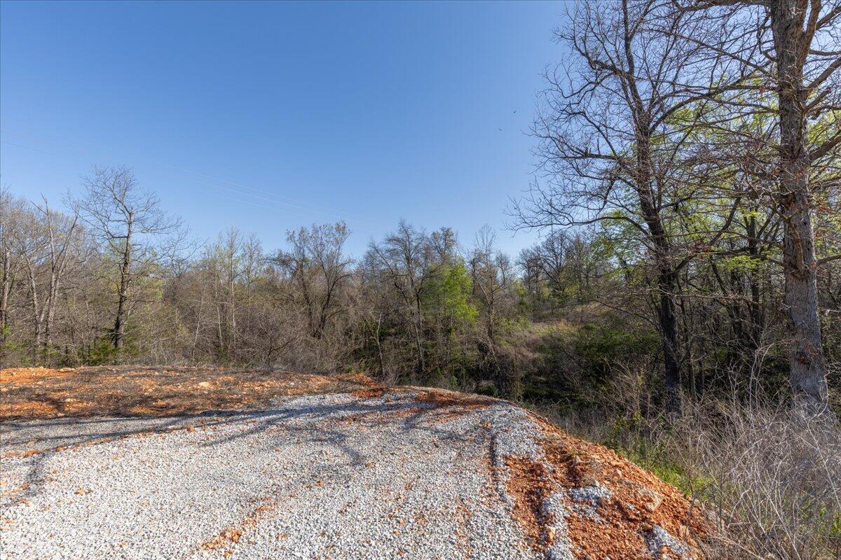 435 Pleasant View Road Property Photo 4
