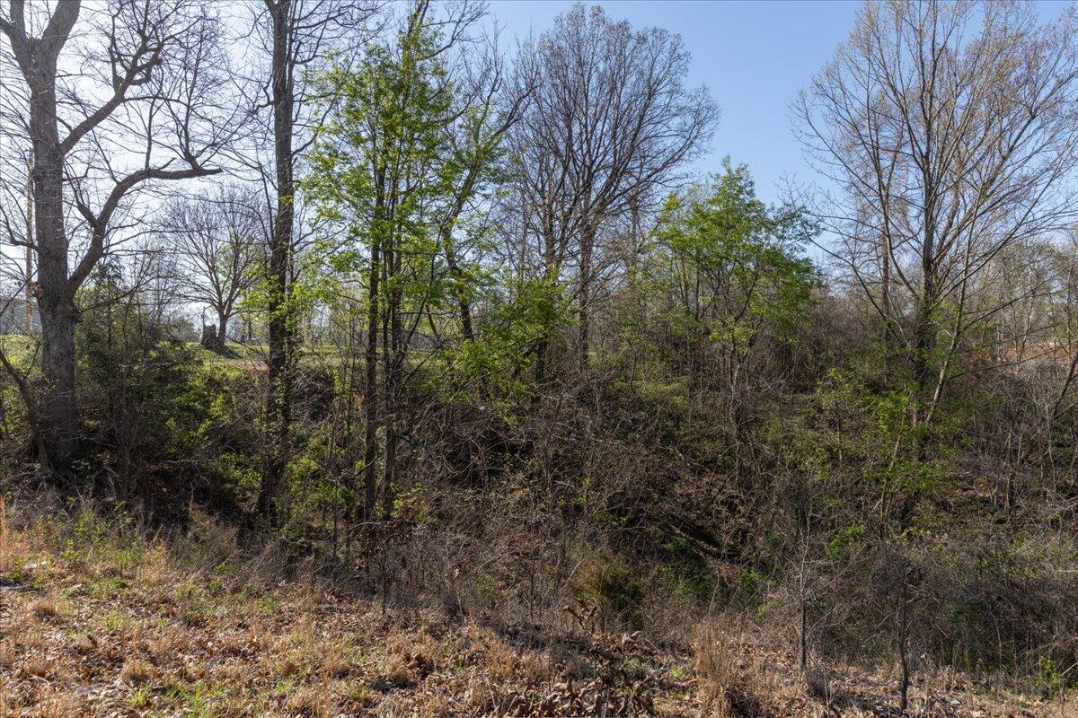 435 Pleasant View Road Property Photo 14