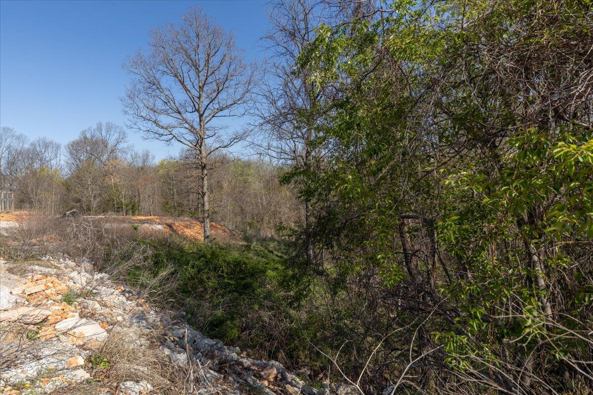 435 Pleasant View Road Property Photo 15