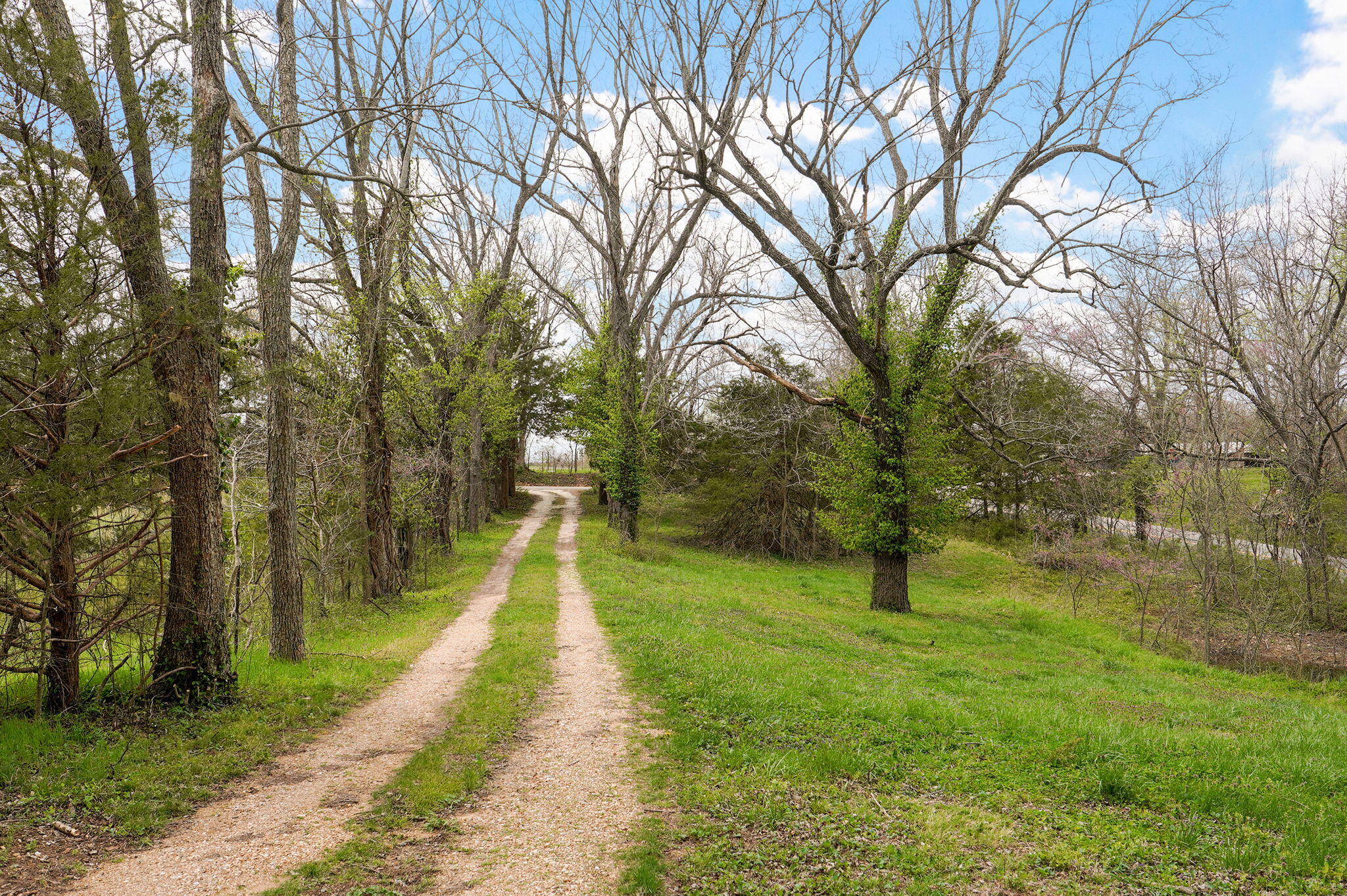 7052 East Farm Road 50 Property Photo 2