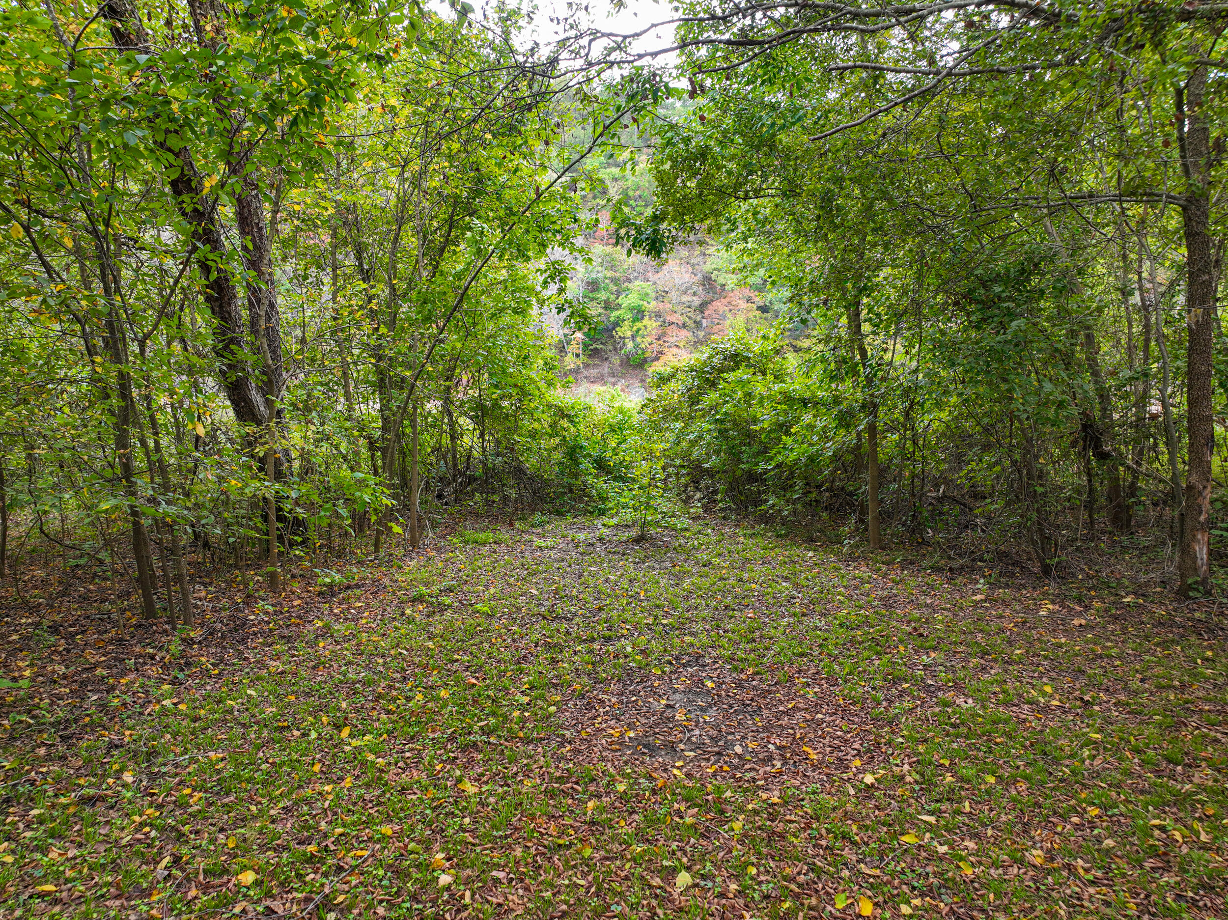26740 Buckingham Place Property Photo 44
