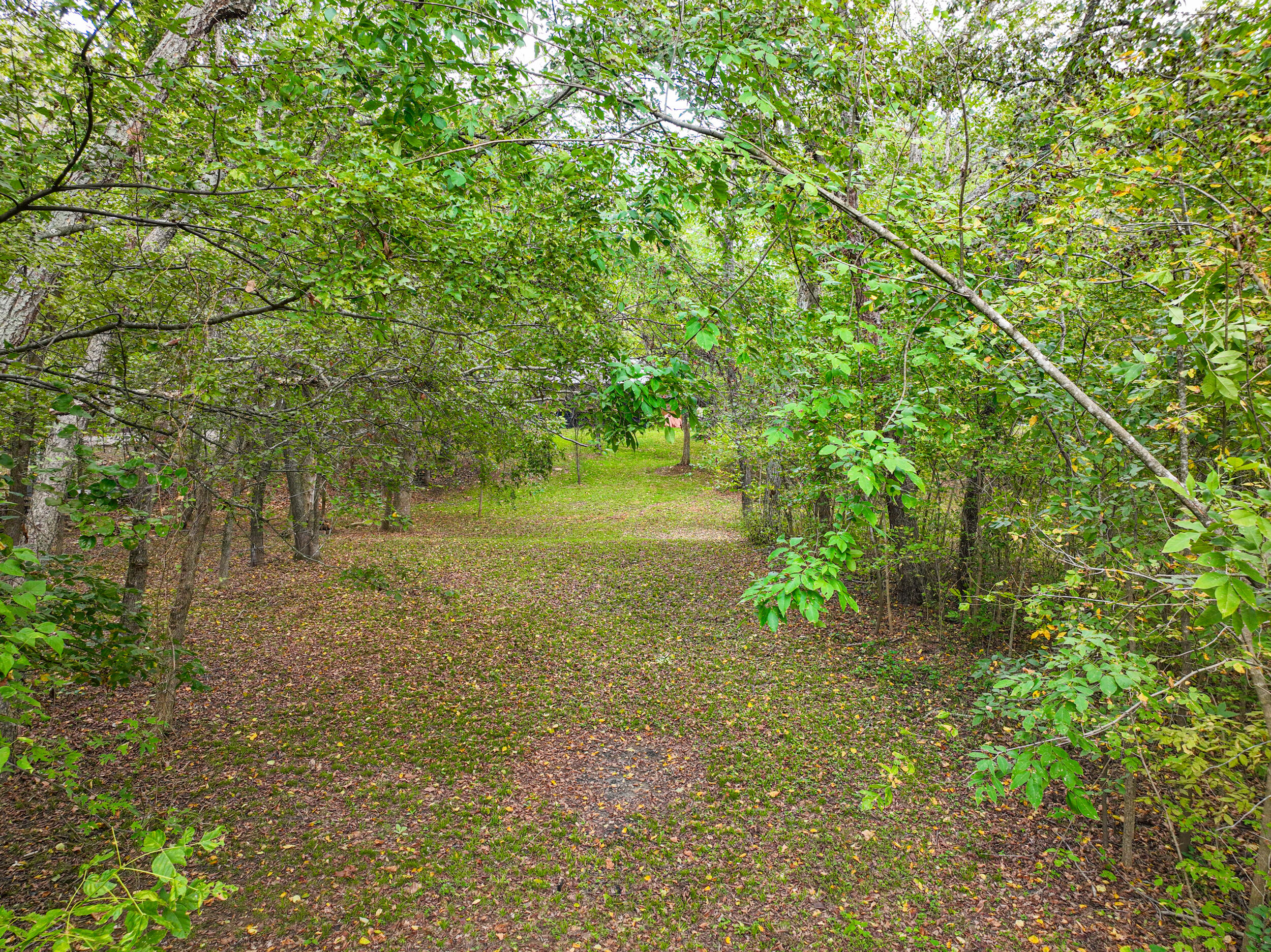 26740 Buckingham Place Property Photo 46
