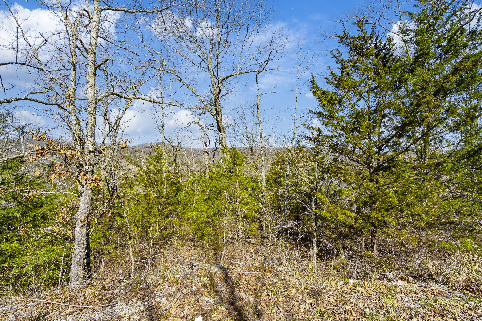 Tbd Old Southern Road Property Photo 8