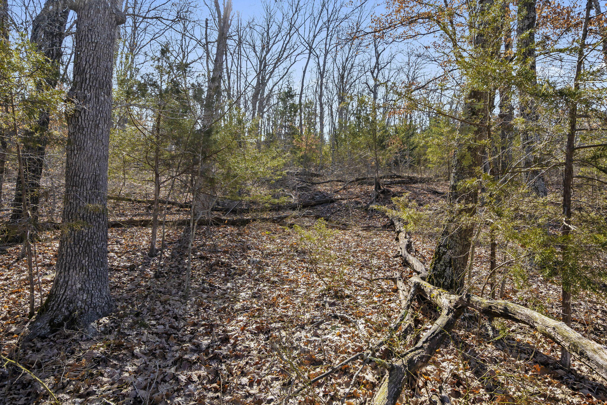 Tbd Old Southern Road Property Photo 9