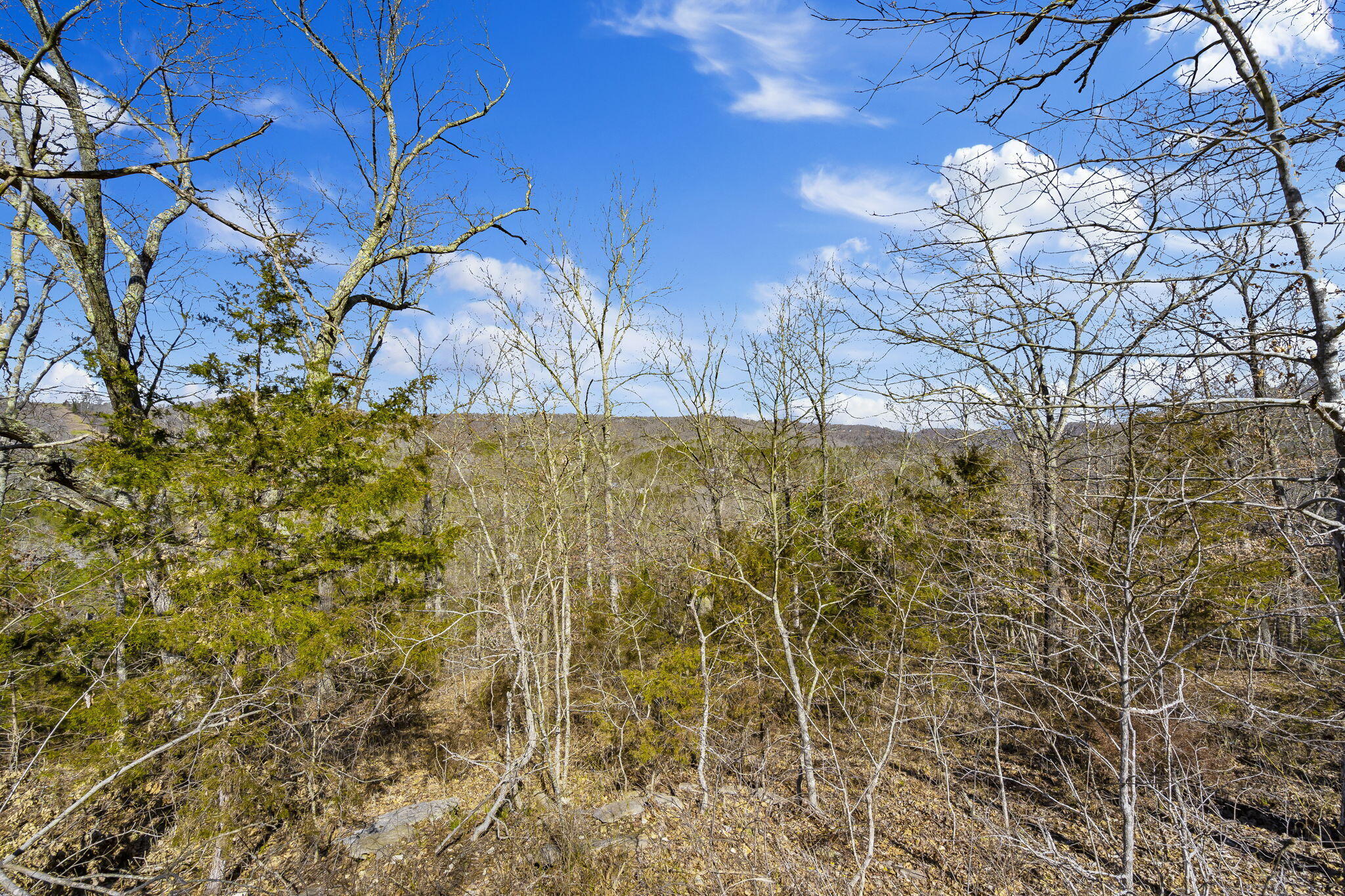 Tbd Old Southern Road Property Photo 11