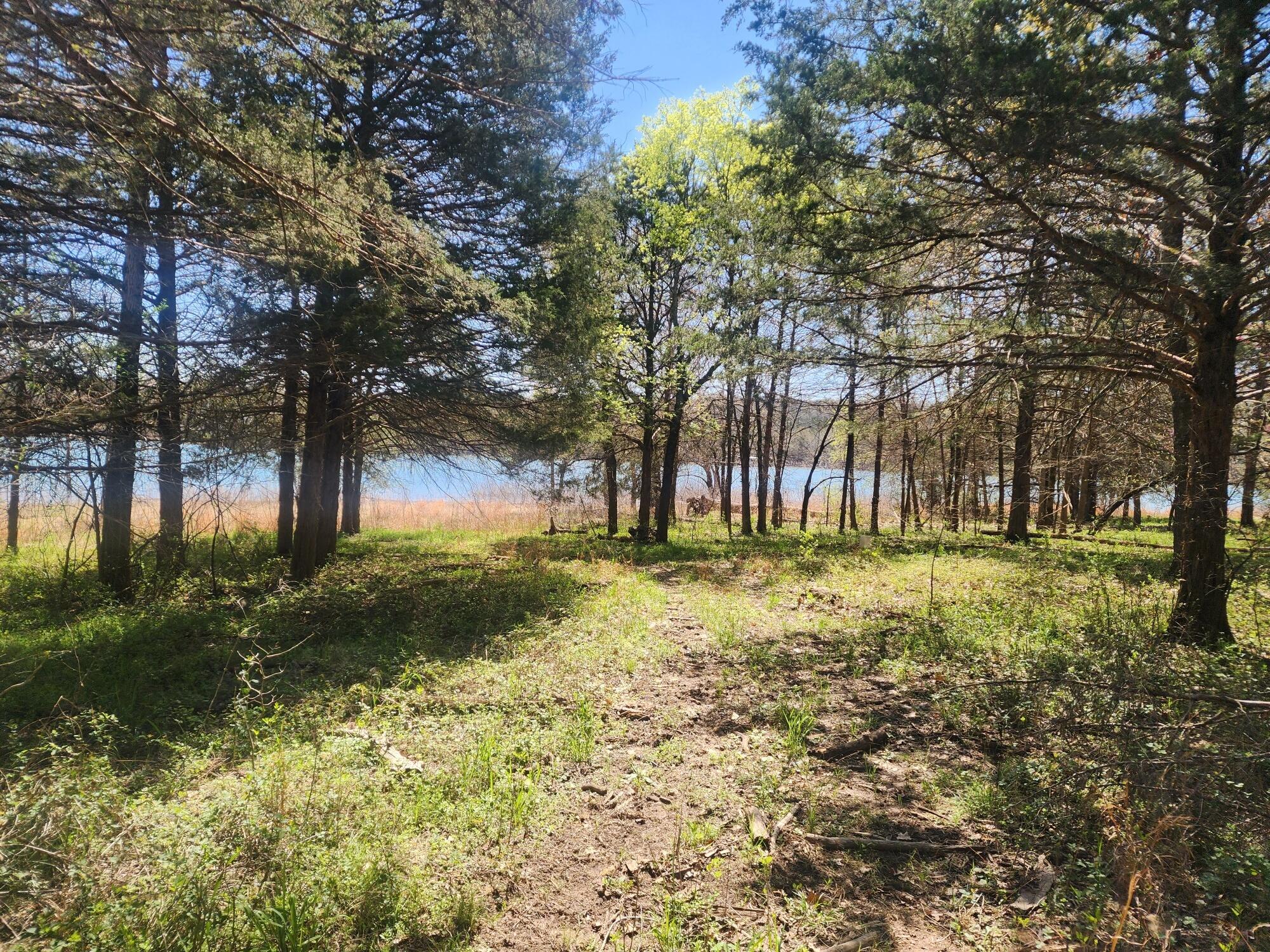 1188 Amber Road Property Photo 5