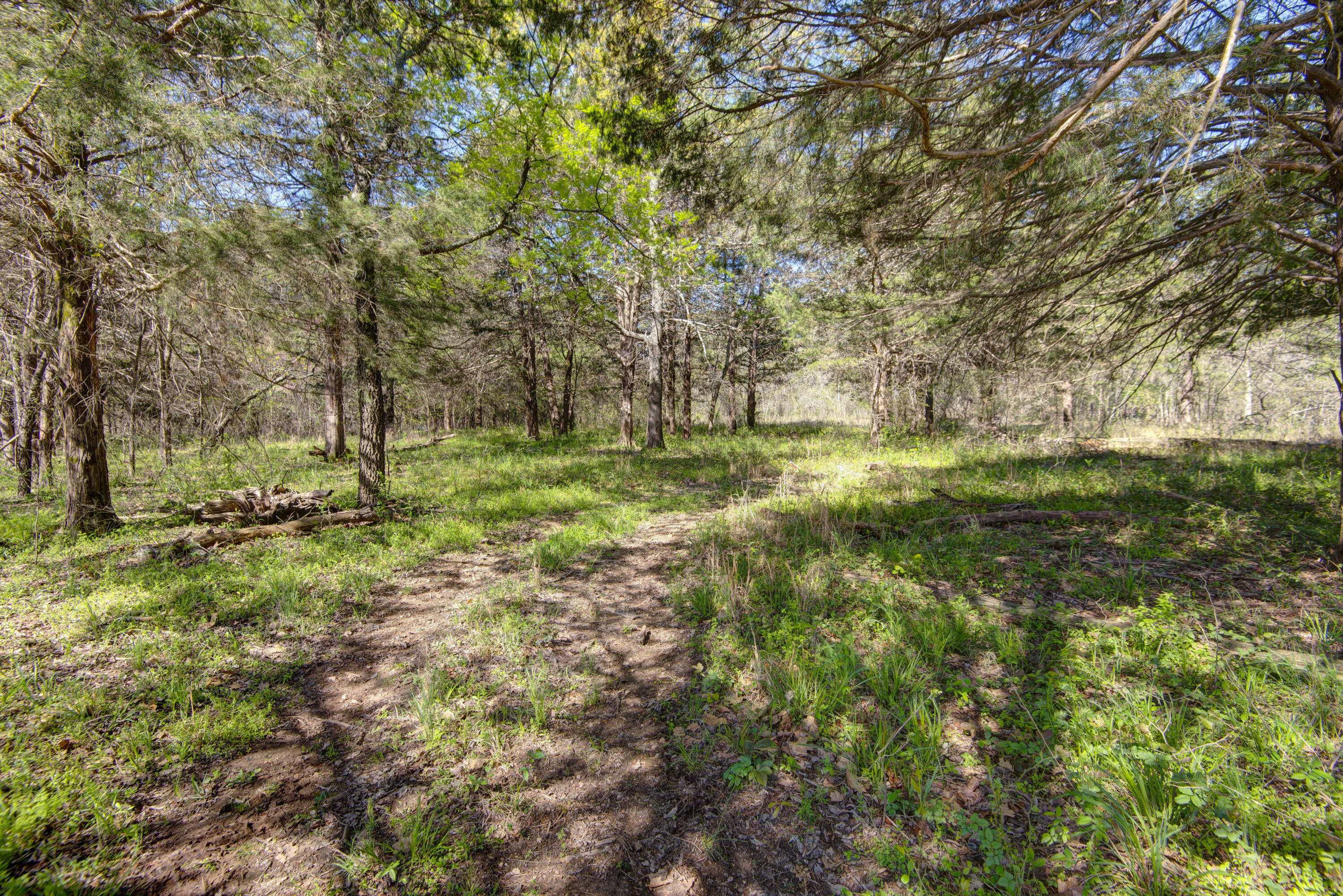 1188 Amber Road Property Photo 23