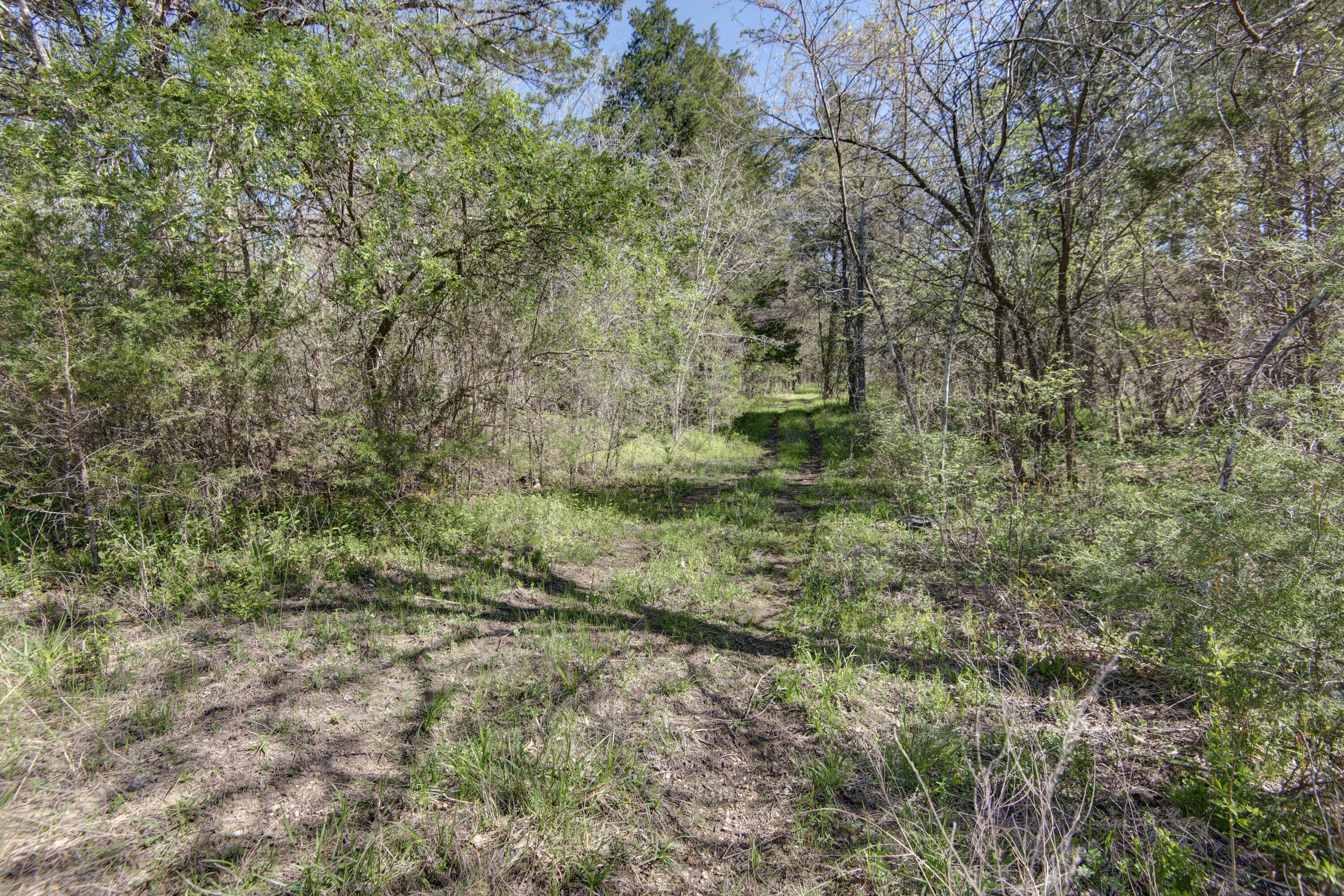 1188 Amber Road Property Photo 24