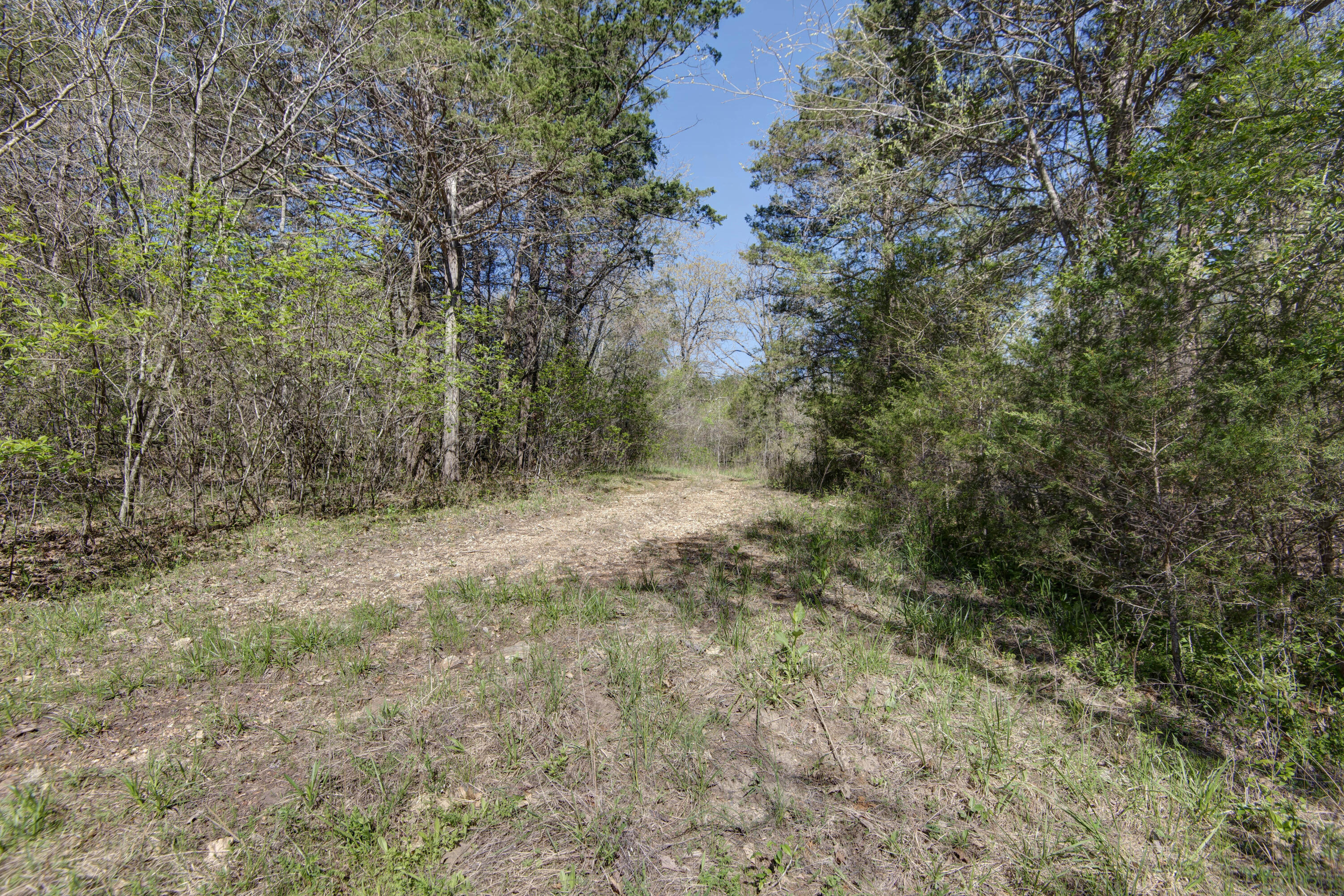 1188 Amber Road Property Photo 25