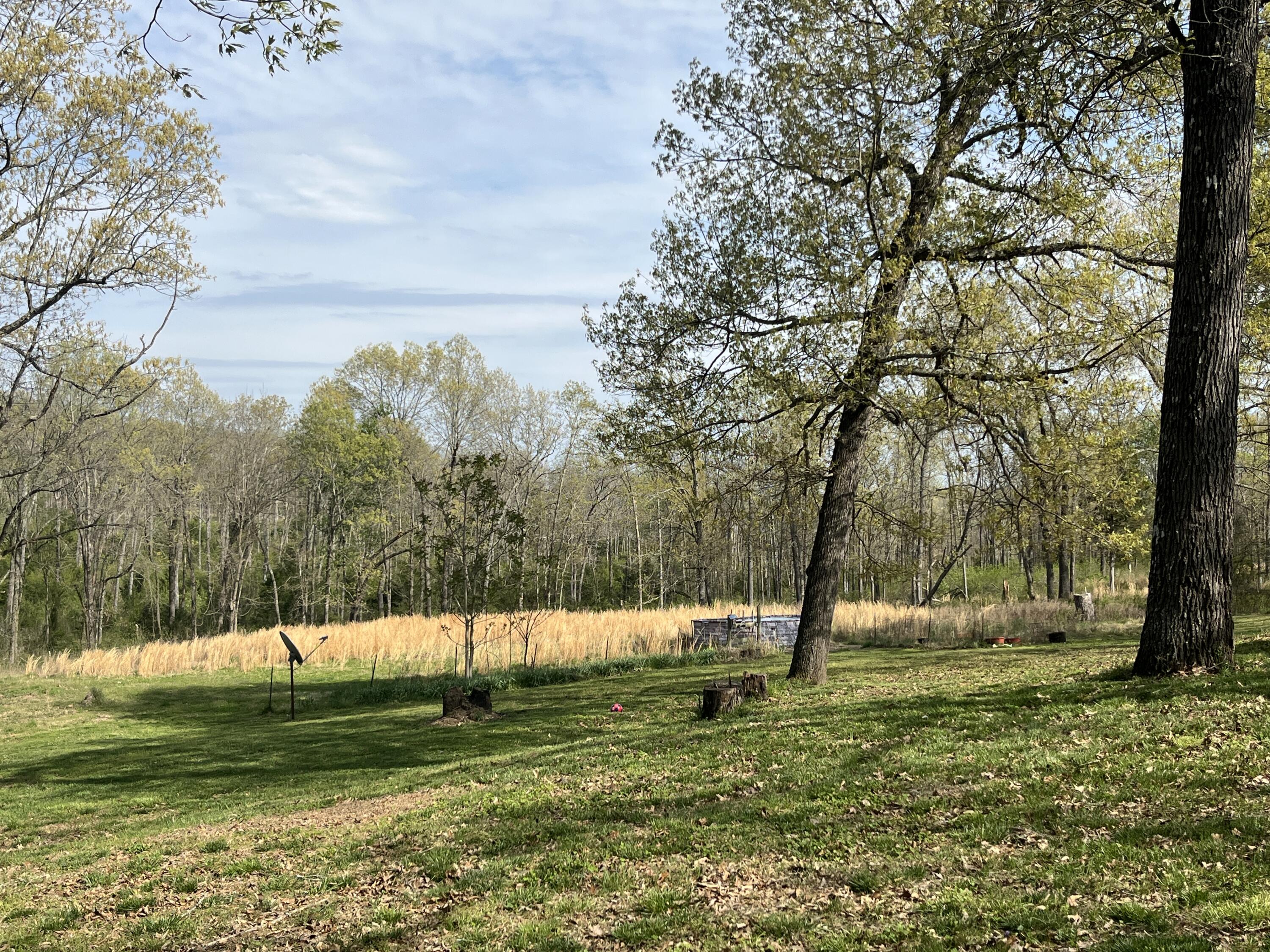 106 Ellison Lane Property Photo 19