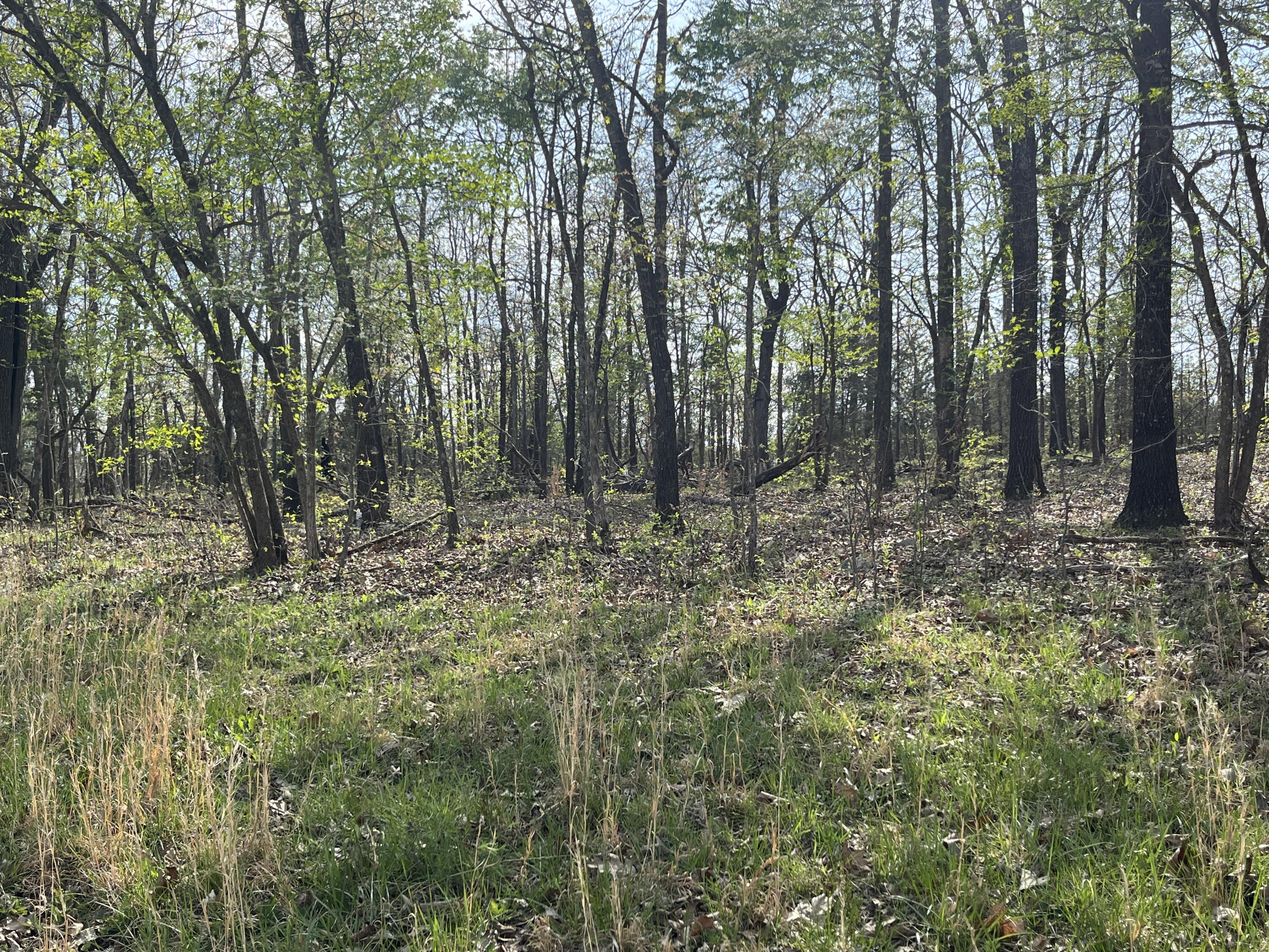 106 Ellison Lane Property Photo 39