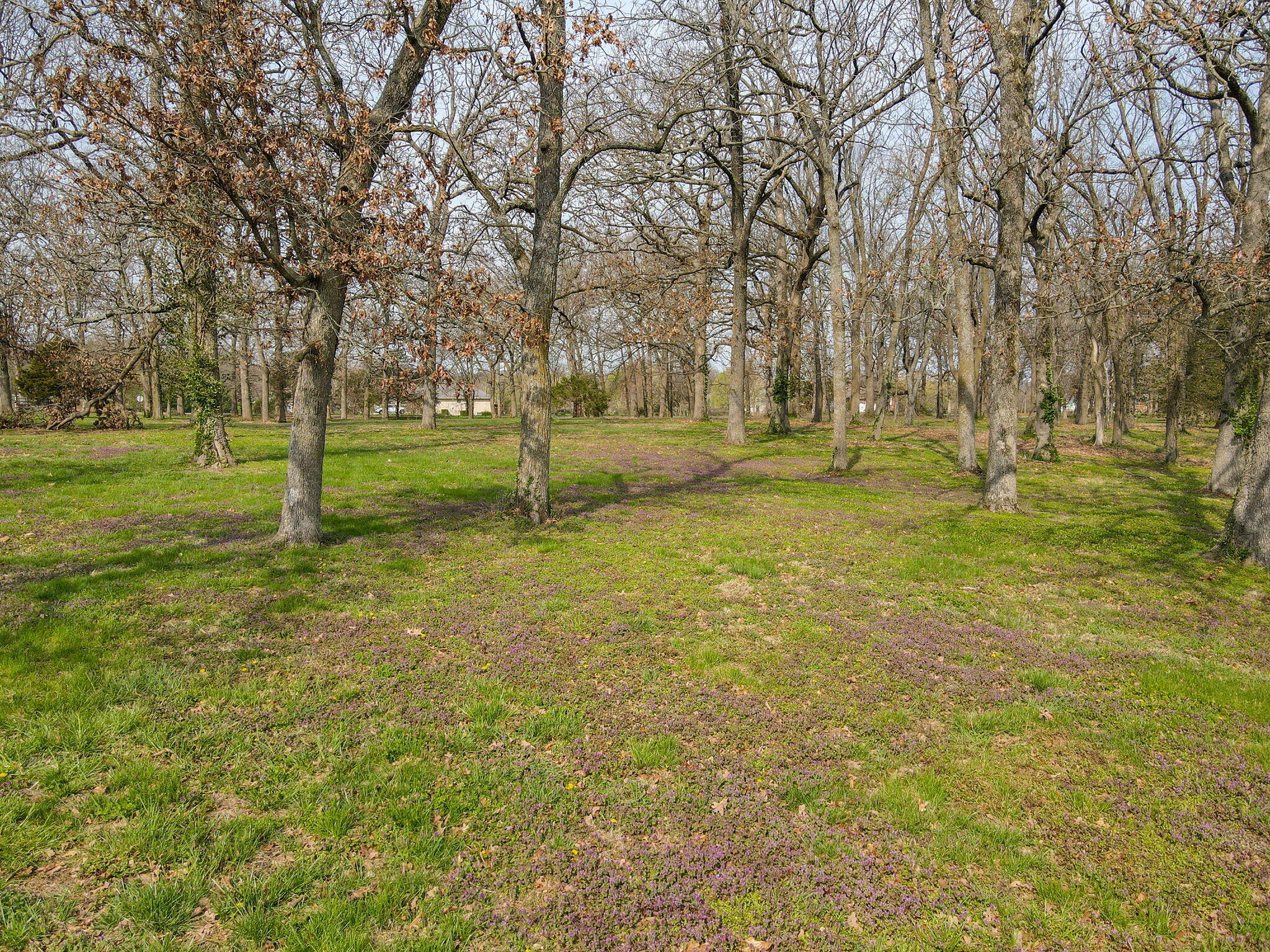 418 Forgey Road Property Photo 21