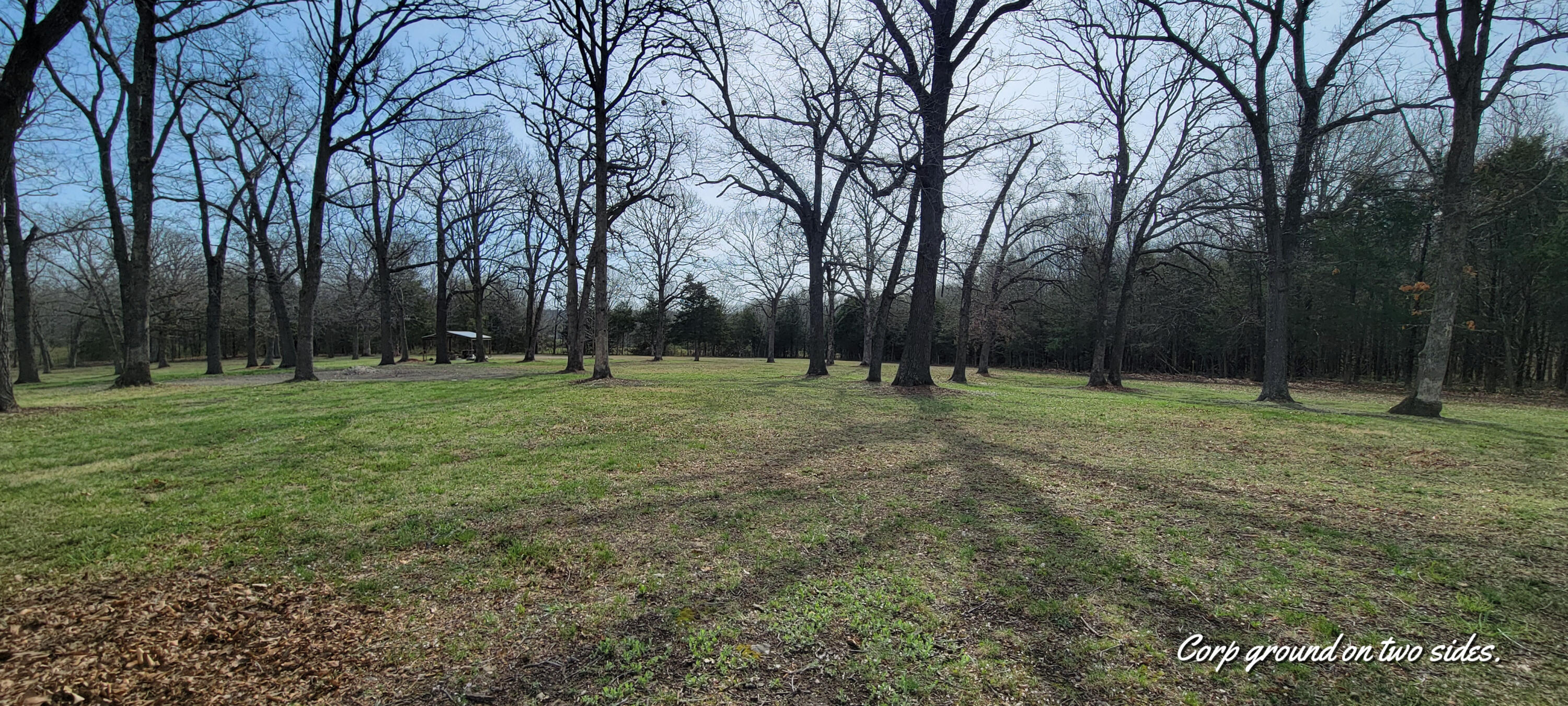 16208 Waggoner Road Property Photo 24