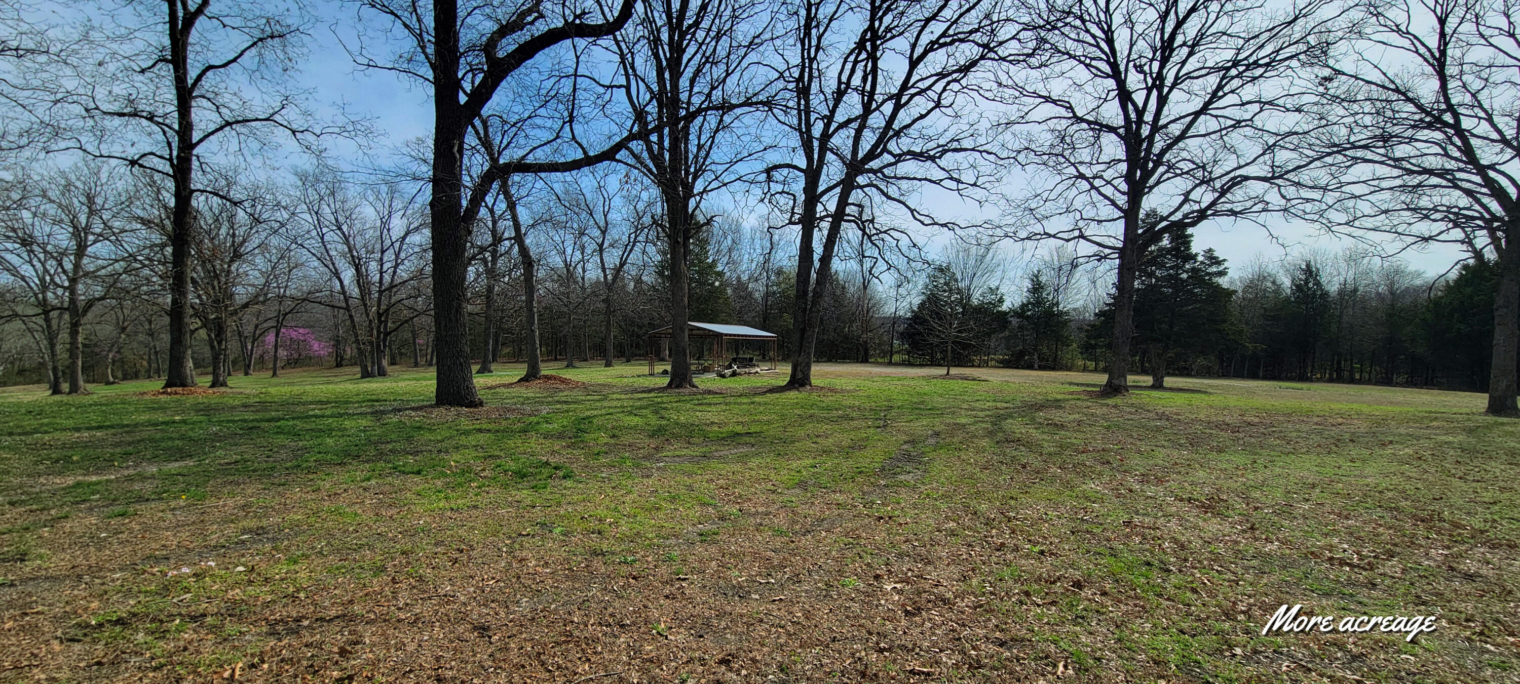 16208 Waggoner Road Property Photo 26