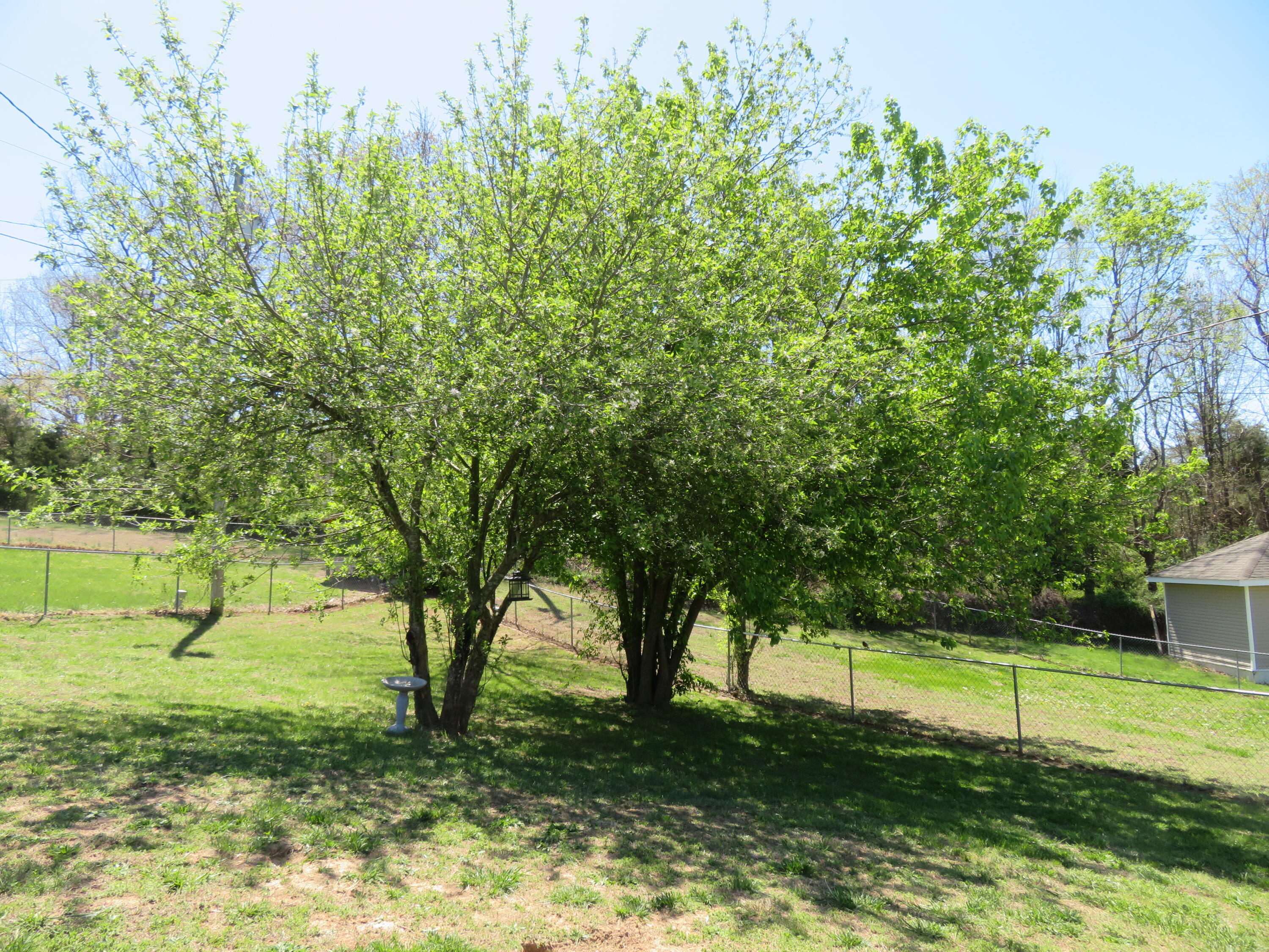 2610 South Lotus Street Property Photo 73