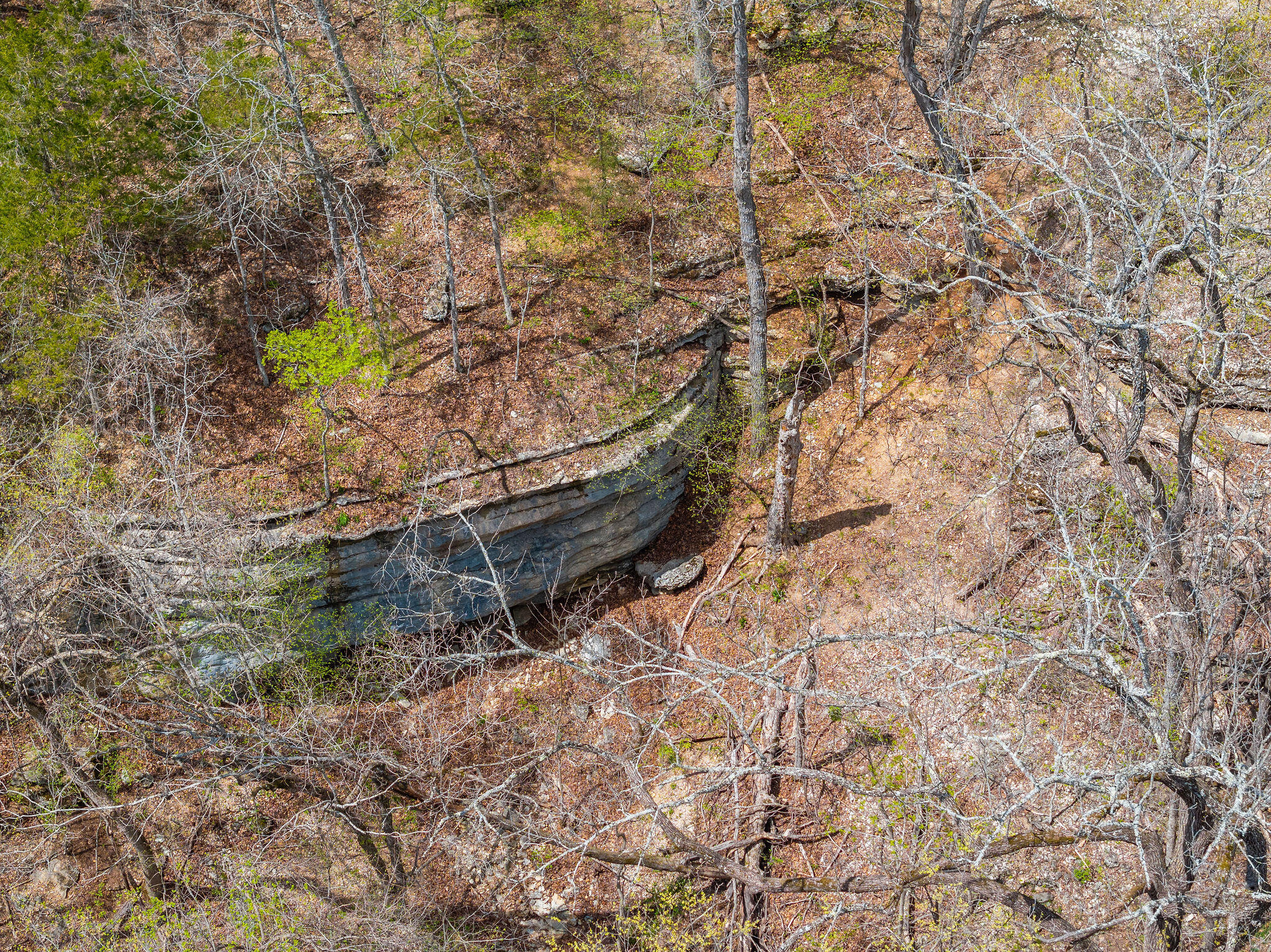 000 Us Highway 160 Property Photo 6
