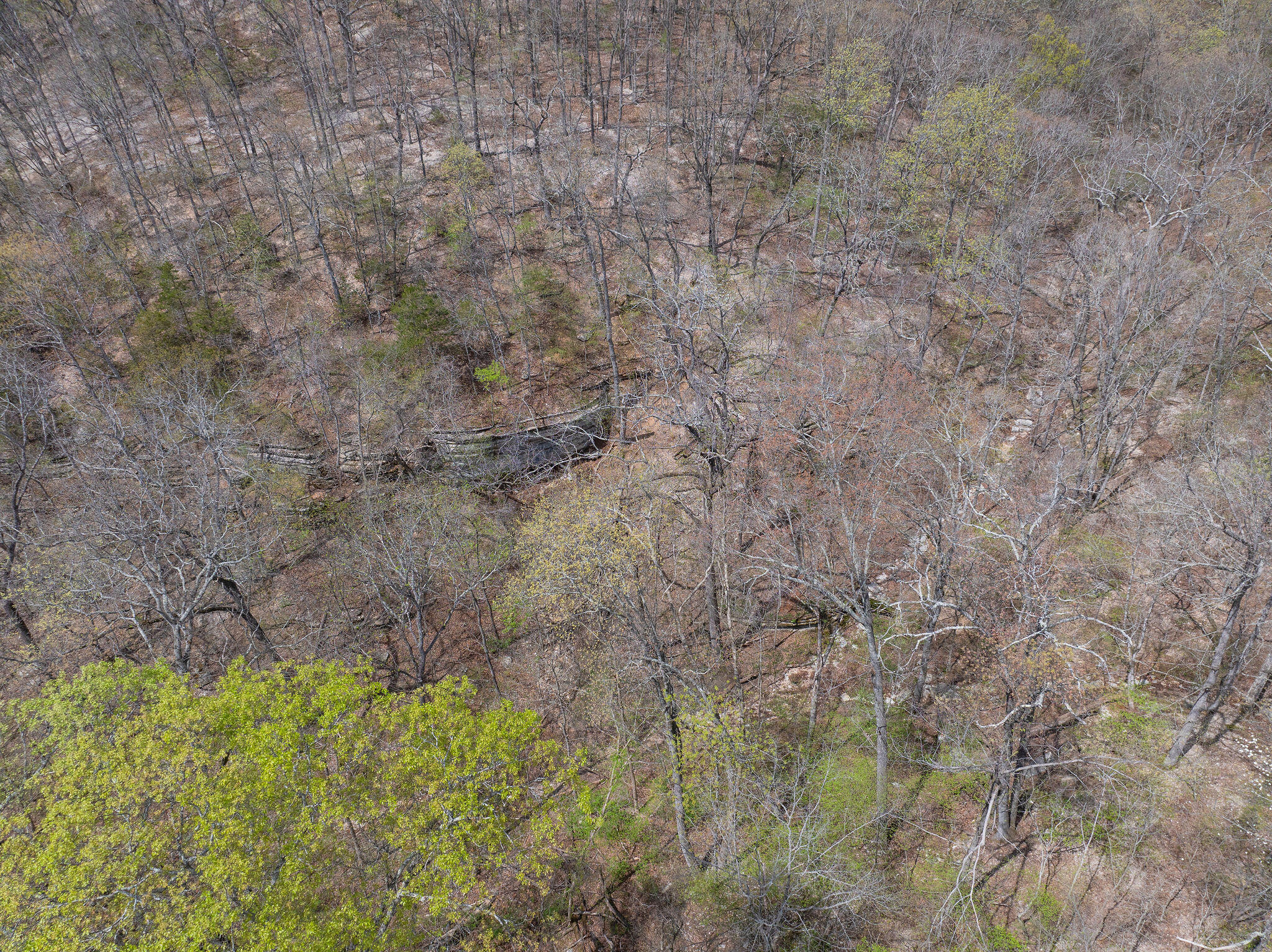 000 Us Highway 160 Property Photo 10