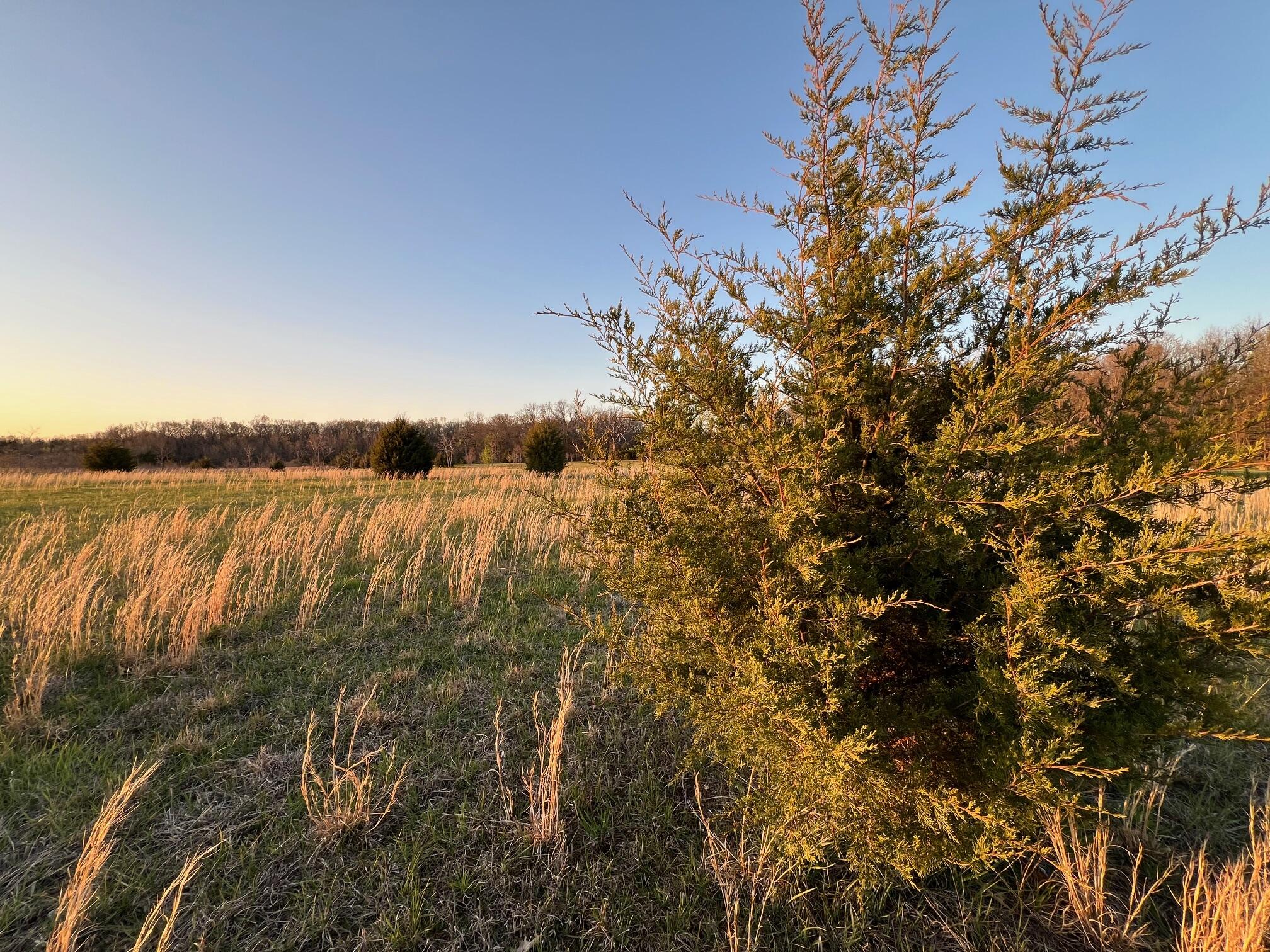 000 Clydesdale Drive Property Photo 8